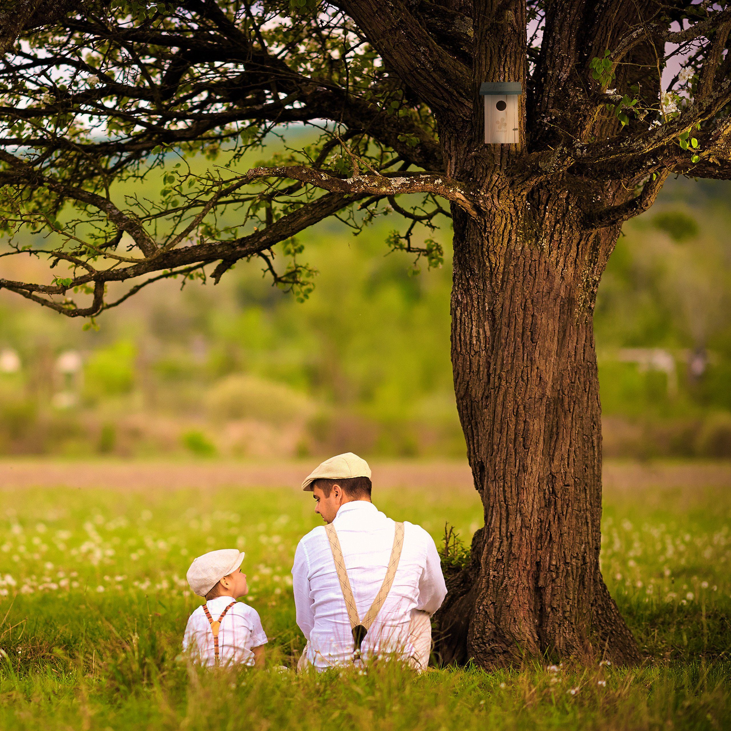 relaxdays Vogelhaus Nistkasten für Vögel