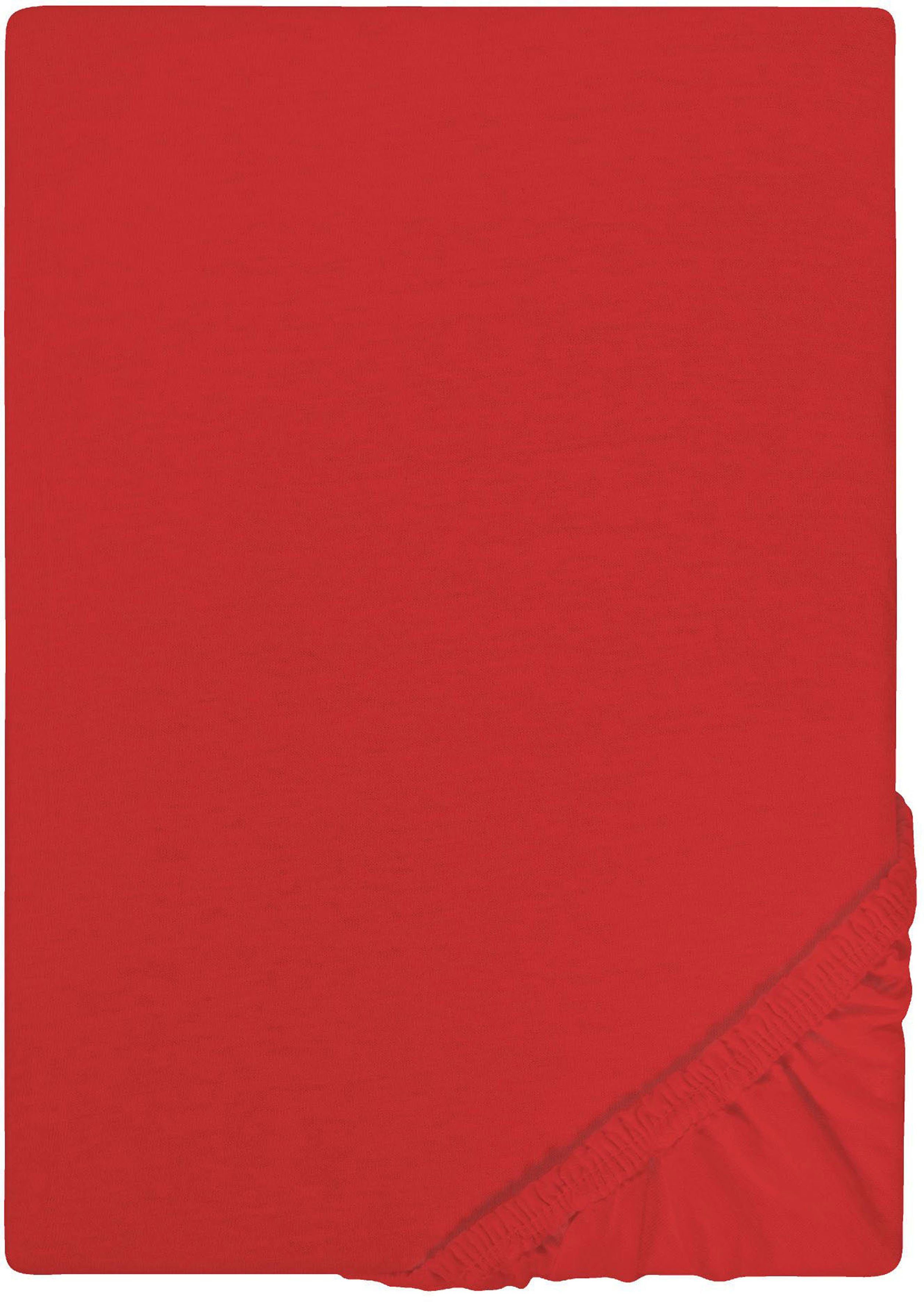 Castell - Markenbettwäsche Spannbettlaken Jersey in Gr. 90x200, 140x200 ode günstig online kaufen