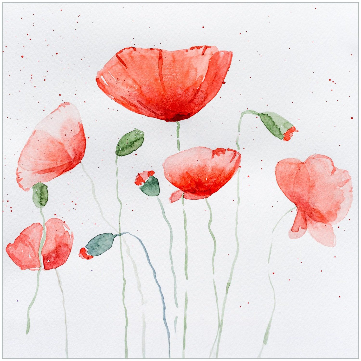 Wallario Möbelfolie Mohnblumen in Aquarell
