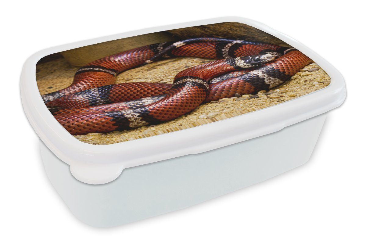 MuchoWow Lunchbox Schlange - Sand - Rot, Kunststoff, (2-tlg), Brotbox für Kinder und Erwachsene, Brotdose, für Jungs und Mädchen weiß