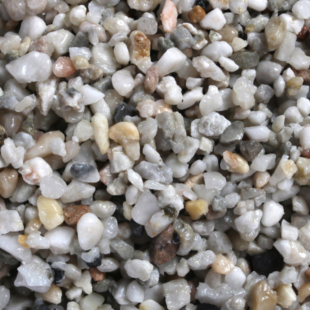 Europet-Bernina Aquarienkies Aquarienkies hell und grob 2 kg