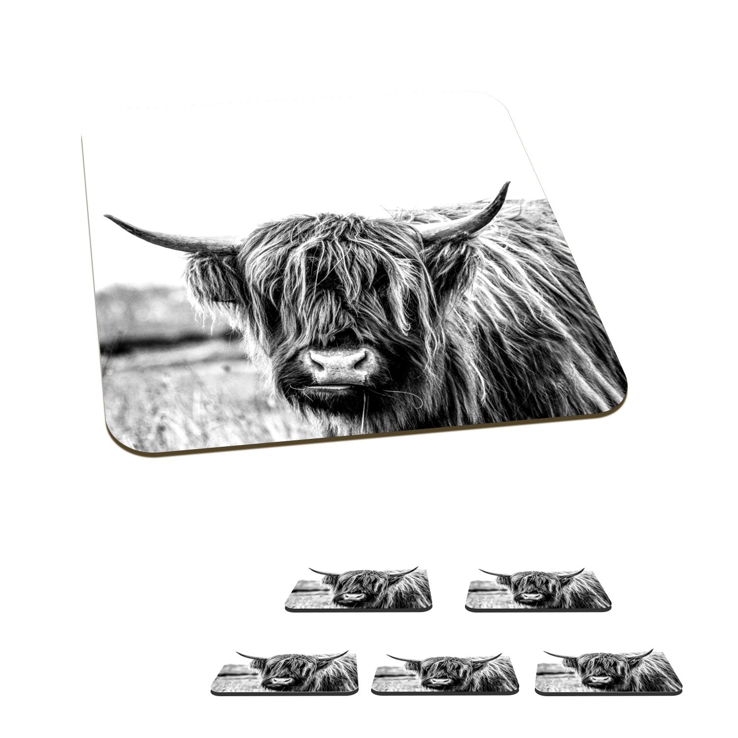 MuchoWow Glasuntersetzer Scottish Highlander - Gras - Schwarz - Weiß, Zubehör für Gläser, 6-tlg., Glasuntersetzer, Tischuntersetzer, Korkuntersetzer, Untersetzer, Tasse