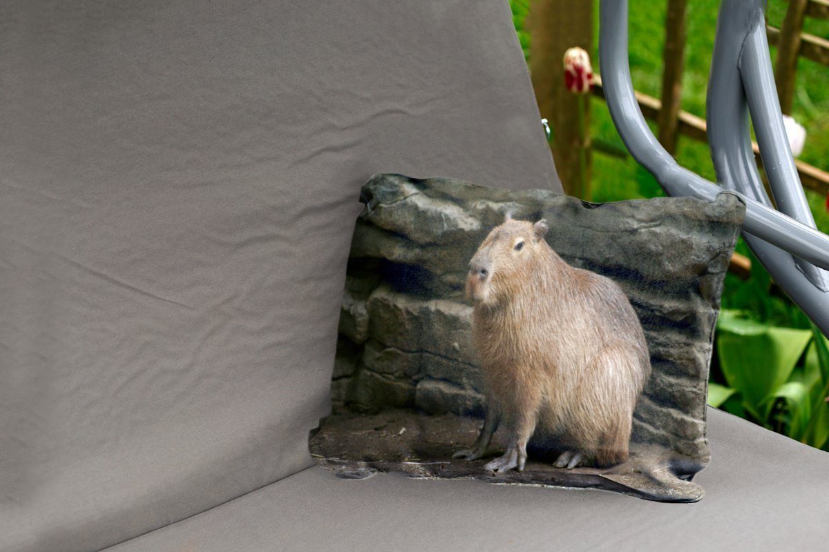 MuchoWow Dekokissen in Polyester, einem Outdoor-Dekorationskissen, Gebiet, Dekokissenbezug, Kissenhülle Ein Wasserschwein felsigen