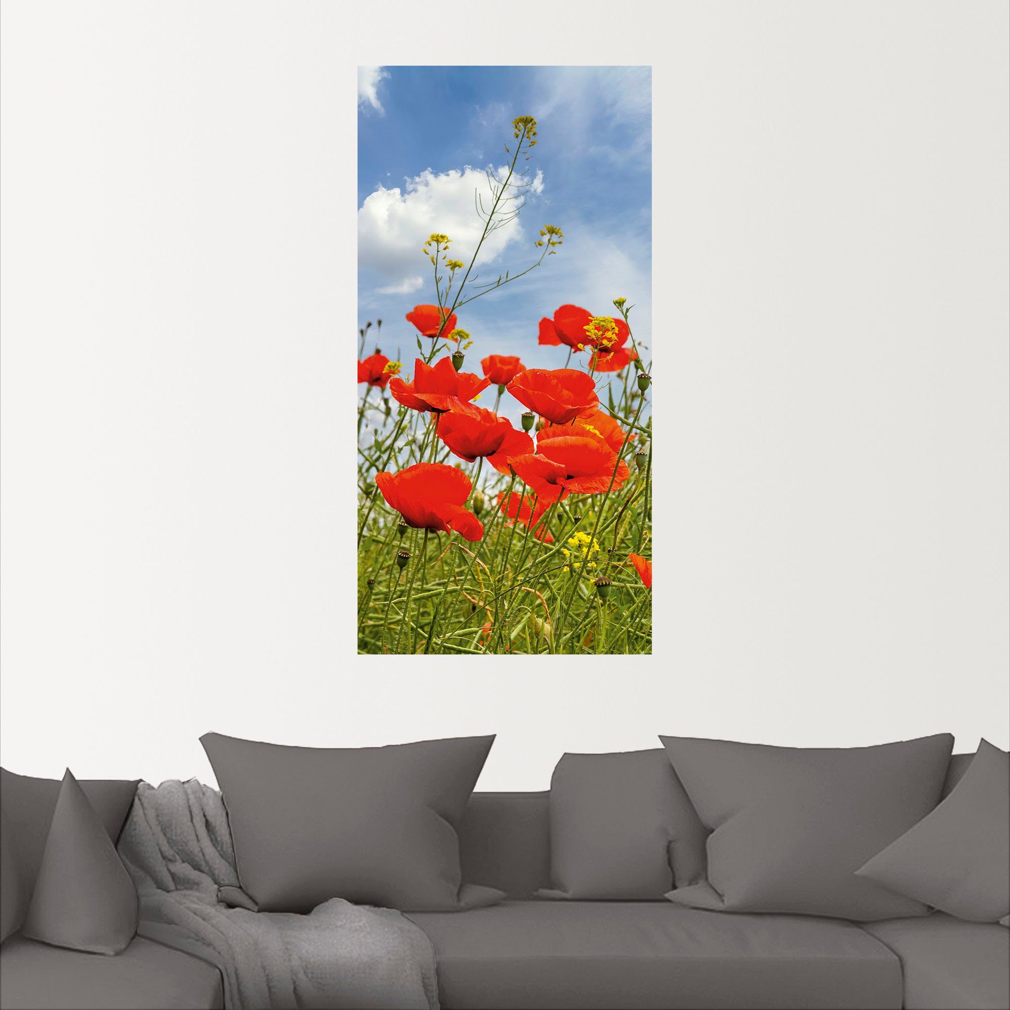 Artland Wandbild Mohnblumen im Panorama, versch. Wandaufkleber Blumenbilder St), Alubild, in als Größen oder (1 Leinwandbild, Poster