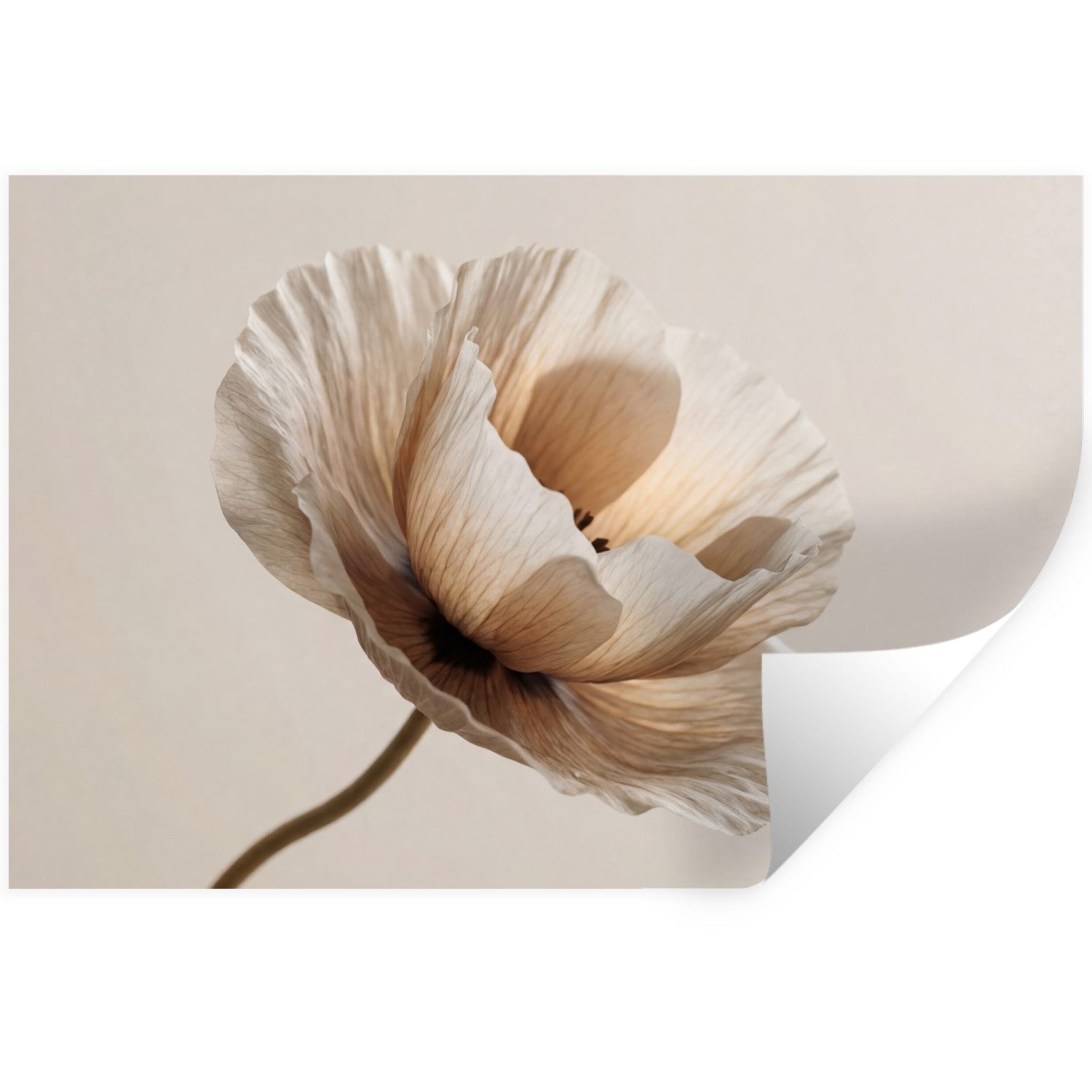 MuchoWow Wandsticker Blume - Beige - Creme (1 St), Wandtattoo, Selbstklebend, Wohnzimmer, 30x20 cm