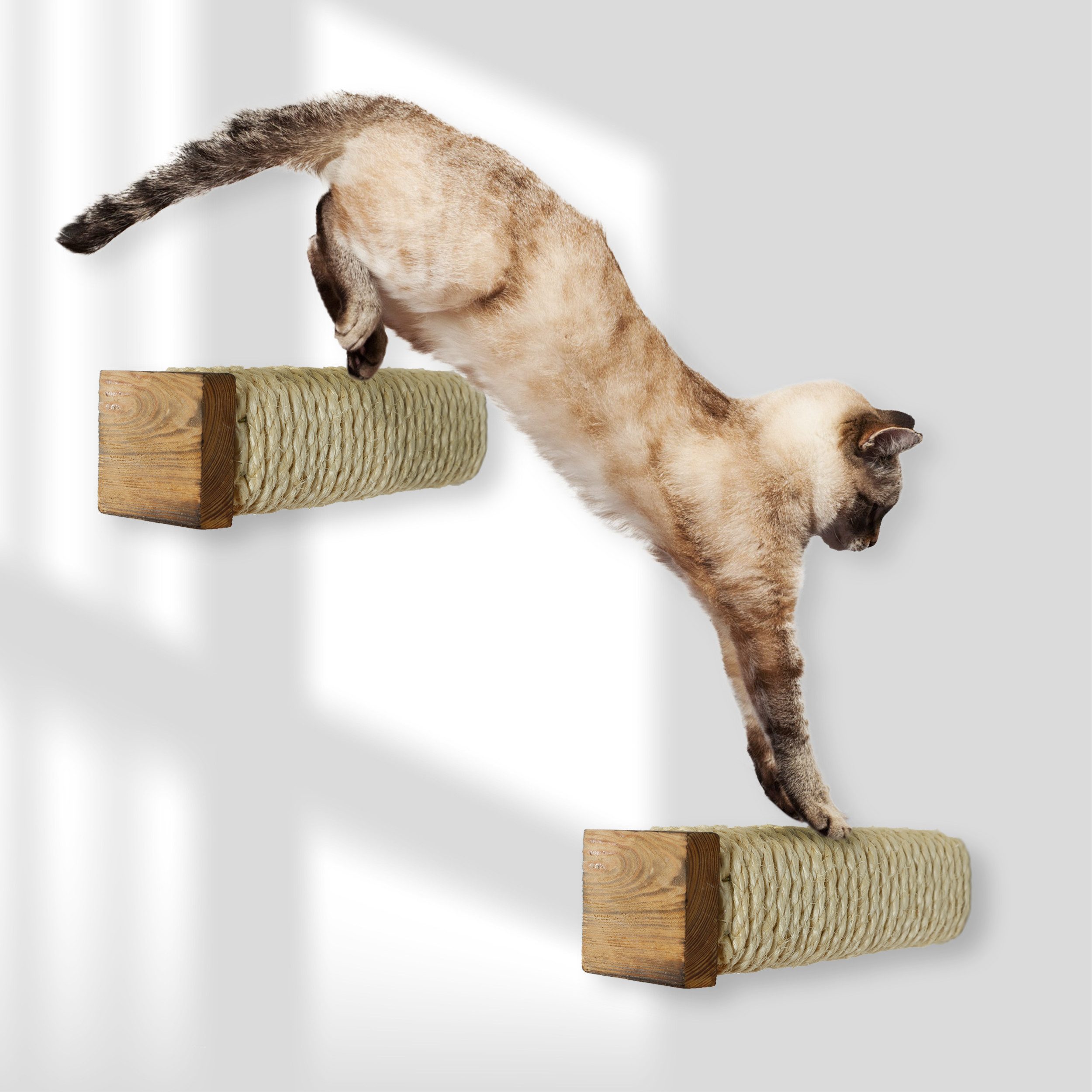 Rohrschneider Katzen-Kletterwand Katzentreppe Wand Wandelement Kratzstamm m günstig online kaufen