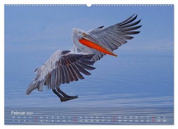 CALVENDO Wandkalender Pelikan-Kalender (Premium, hochwertiger DIN A2 Wandkalender 2023, Kunstdruck in Hochglanz)