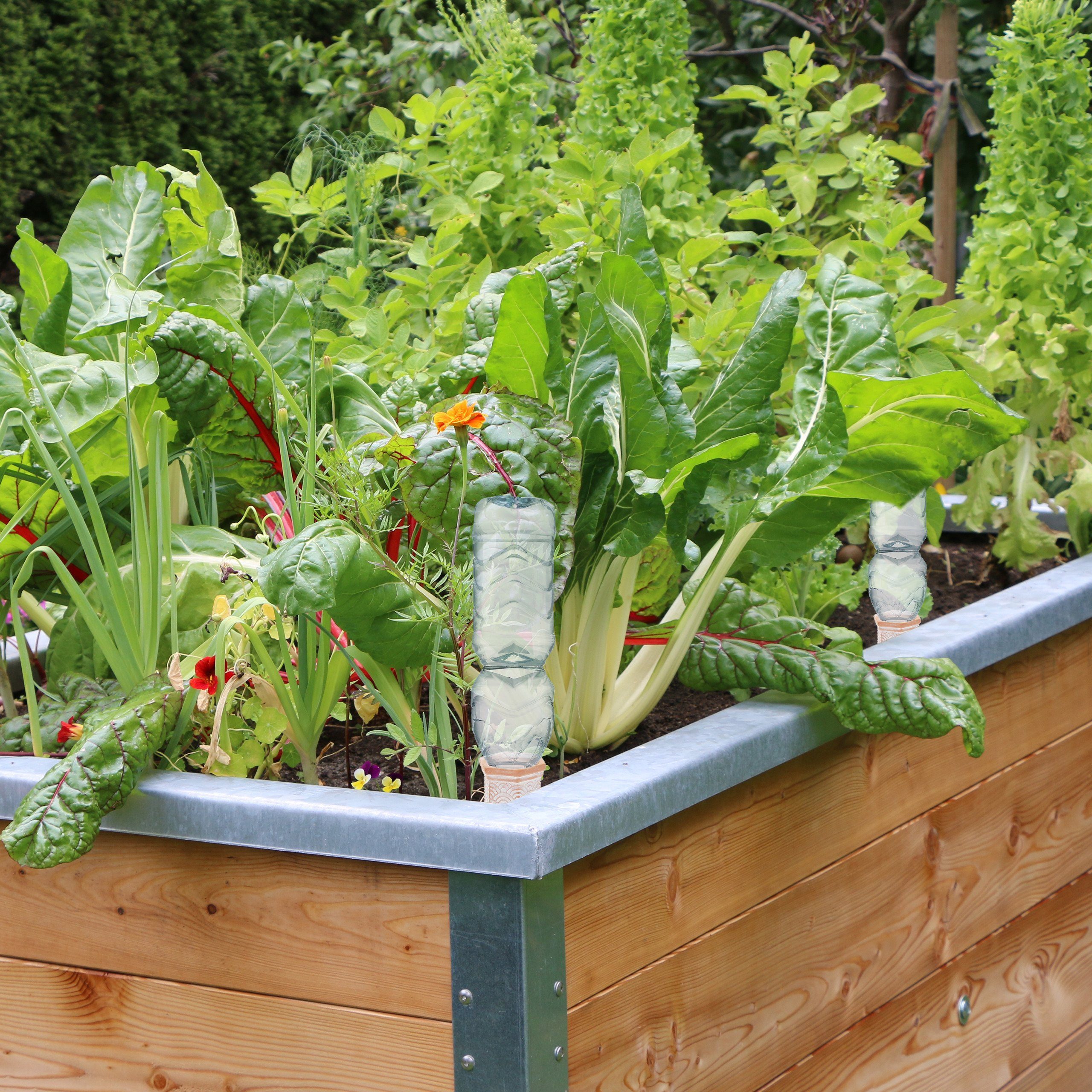 relaxdays irrigation system clay cones for irrigation, set of 4