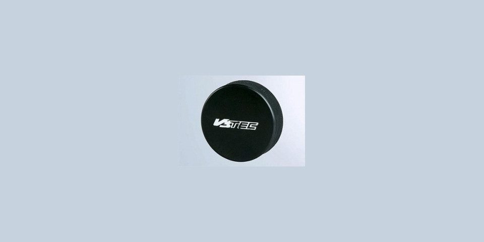 INTERSPORT Hockeypuck Eishockey Puck