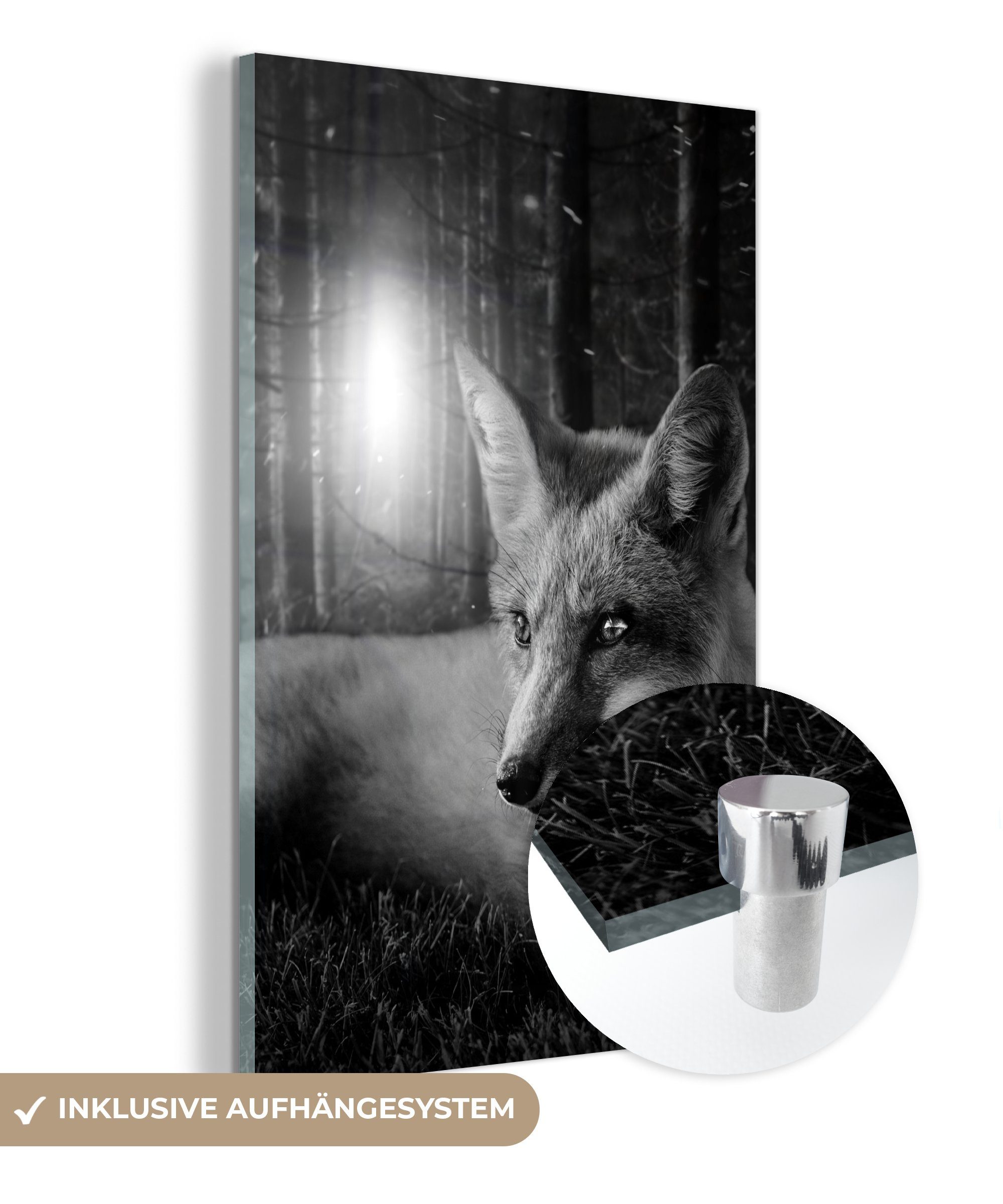 Beliebt 100 % MuchoWow Acrylglasbild Fuchs und Glas Bäumen Foto zwischen weiß, auf (1 auf bunt St), Dschungel - Glasbilder schwarz Wandbild im - - Bilder Wanddekoration - Glas den