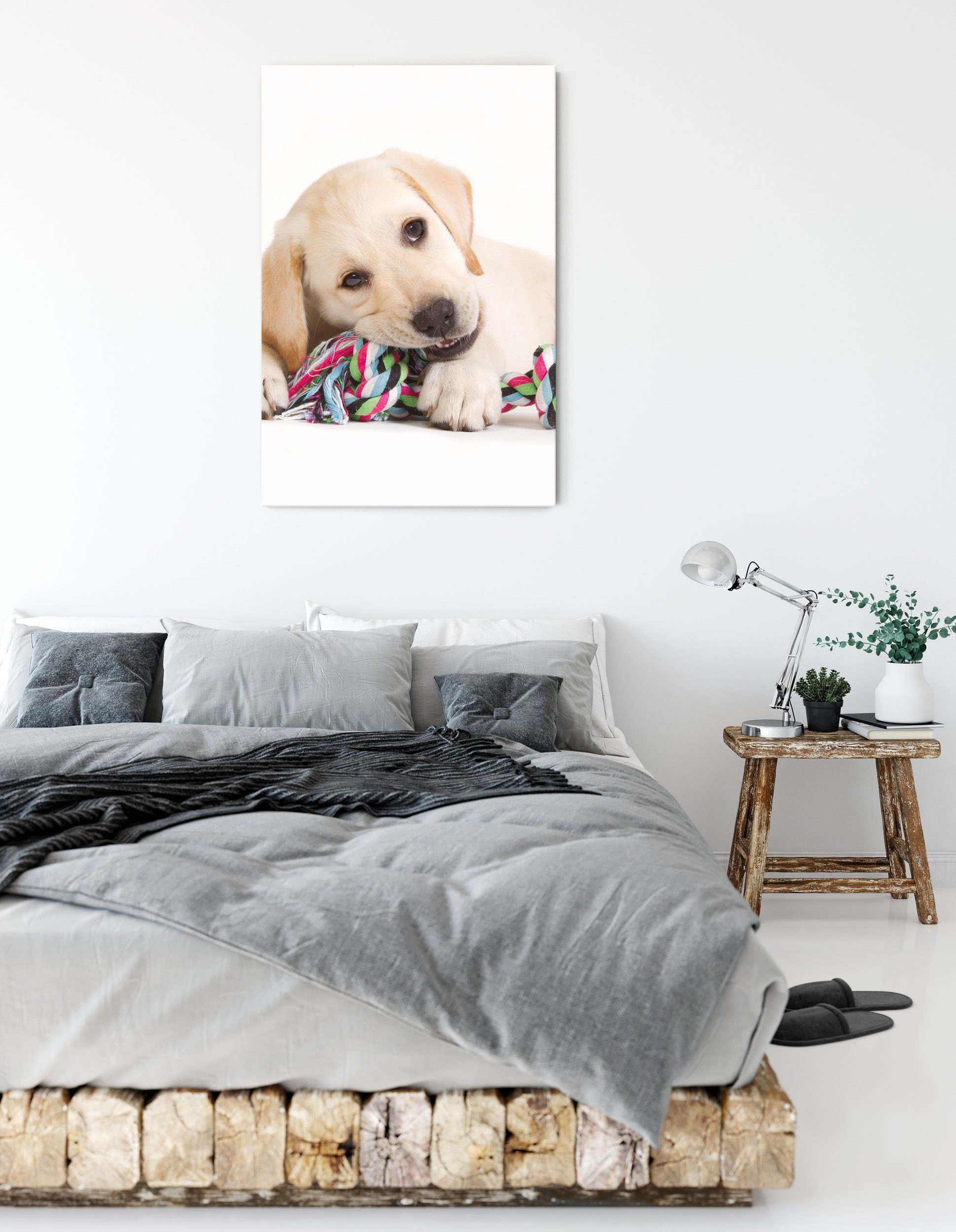 Leinwandbild Leinwandbild Zackenaufhänger Hundewelpe (1 inkl. Hundewelpe, bespannt, St), Pixxprint fertig