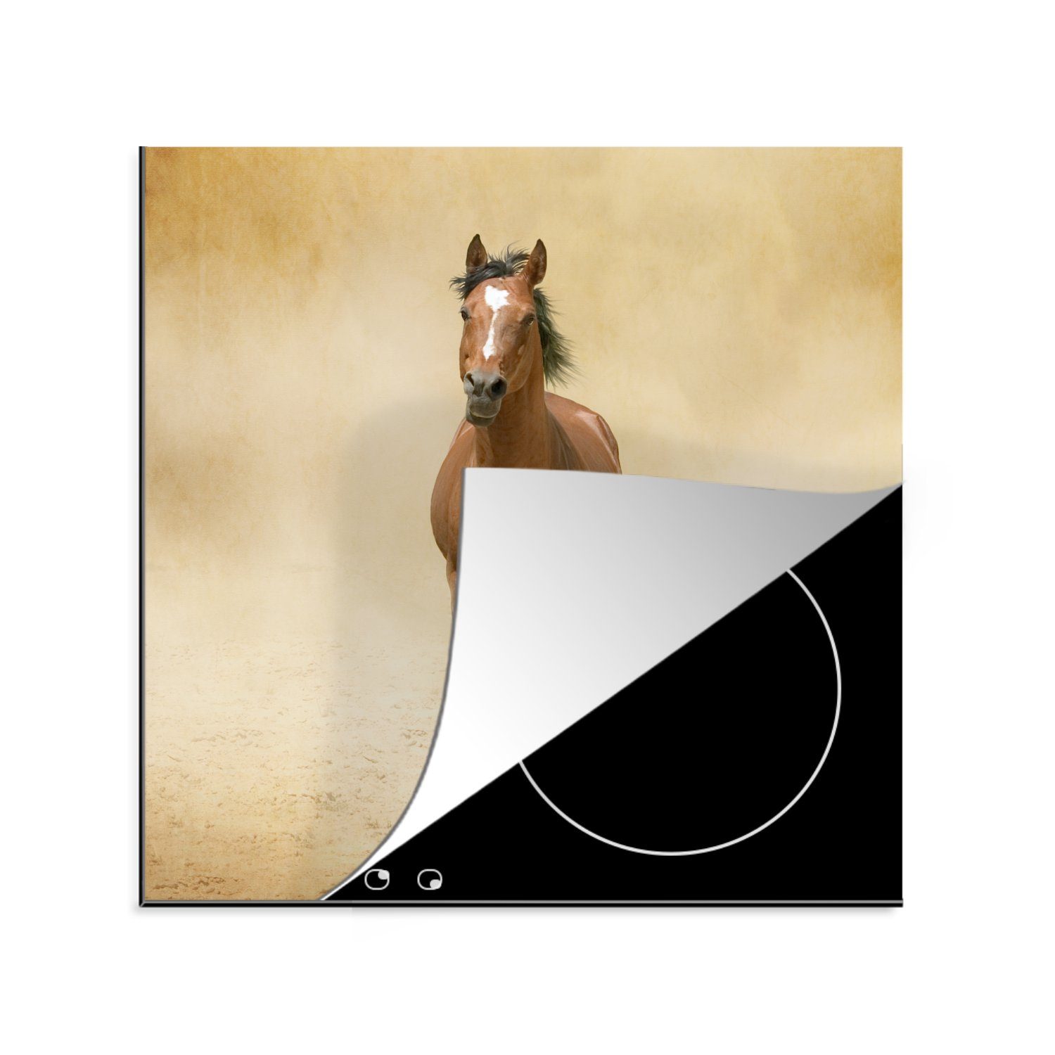 MuchoWow Herdblende-/Abdeckplatte Pferde - Araber - Braun, Vinyl, (1 tlg), 78x78 cm, Ceranfeldabdeckung, Arbeitsplatte für küche
