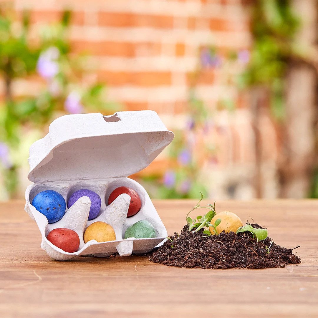 Die Stadtgärtner Osternest 6 Blumenmurmeln im Mini-Eierkarton, farbenfrohe Samenbomben zu Ostern, Nachhaltiges Ostergeschenk mit Wildblumensamen