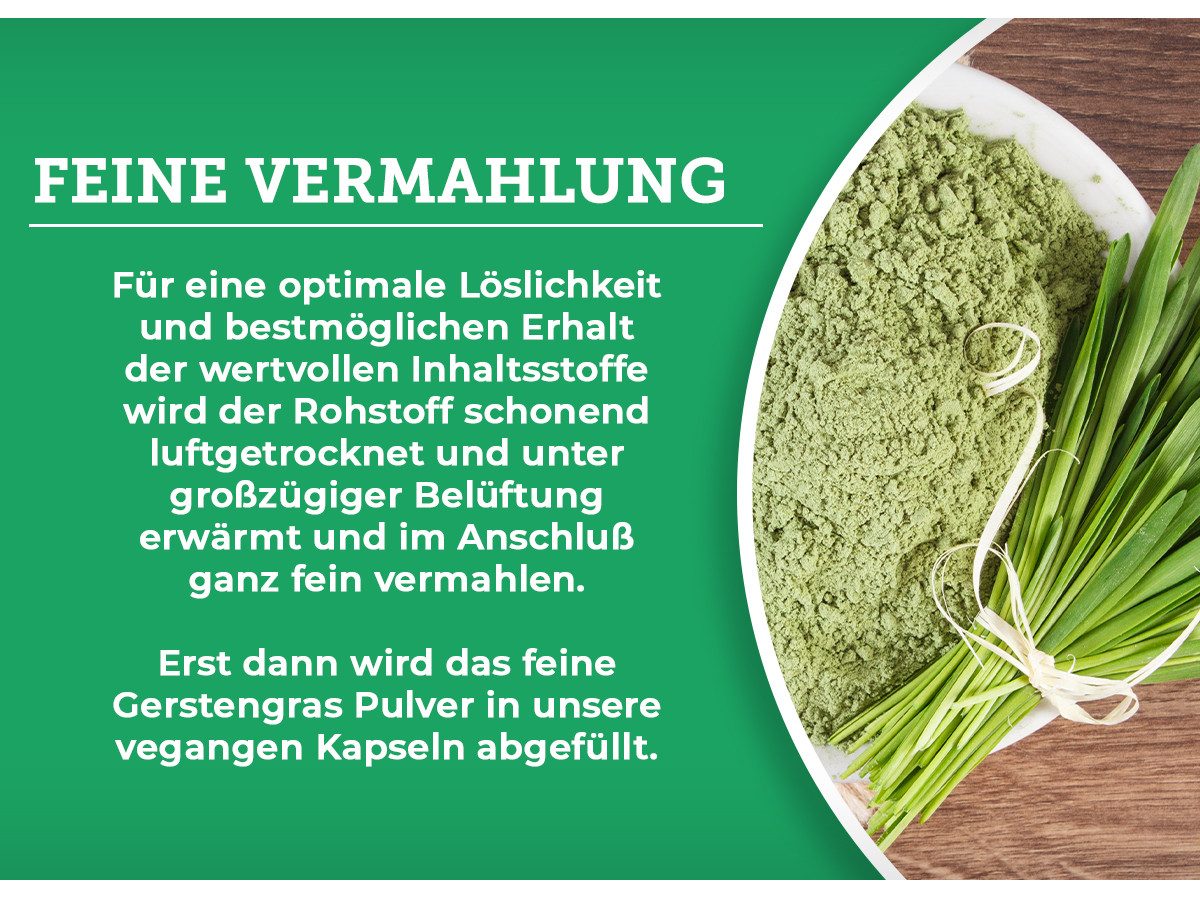 QIDOSHA Bio Gerstengras Kapseln, Bio Gerstengraspulver fein gemahlen mit 500mg je Kapsel, vegan, deutsche Fertigung à 360 St., 215 g
