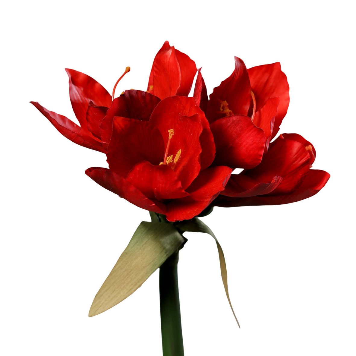 Kunstblume Amaryllis Real Touch DP Dekoblumen künstliche Blumen Ritterstern günstig online kaufen