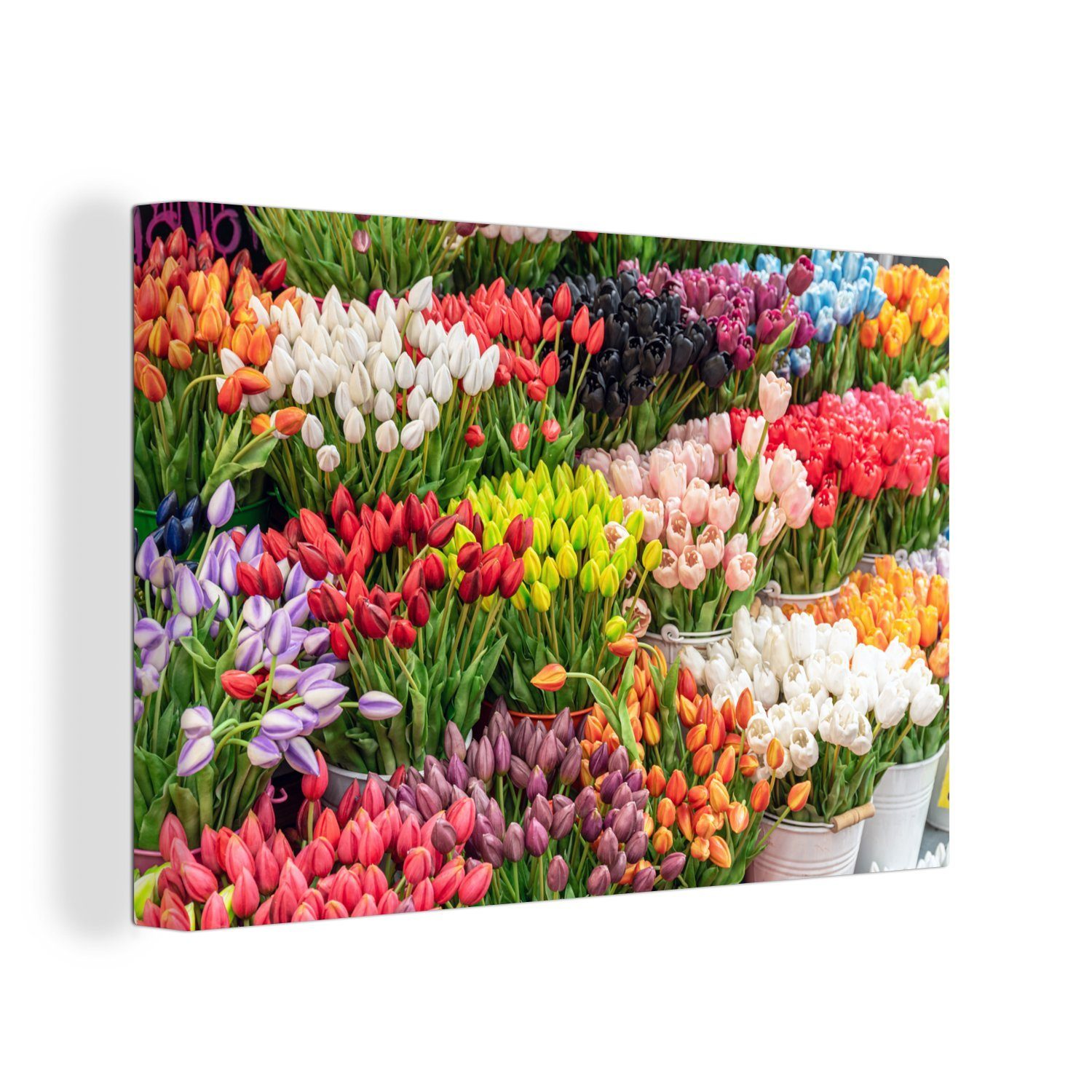 St), Leinwandbilder, Wanddeko, - Tulpen cm Farben, 30x20 OneMillionCanvasses® Wandbild Leinwandbild (1 Aufhängefertig, Blumen -