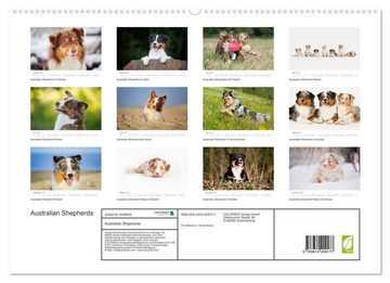 CALVENDO Wandkalender Wunderbare Australian Shepherds (Premium, hochwertiger DIN A2 Wandkalender 2023, Kunstdruck in Hochglanz)