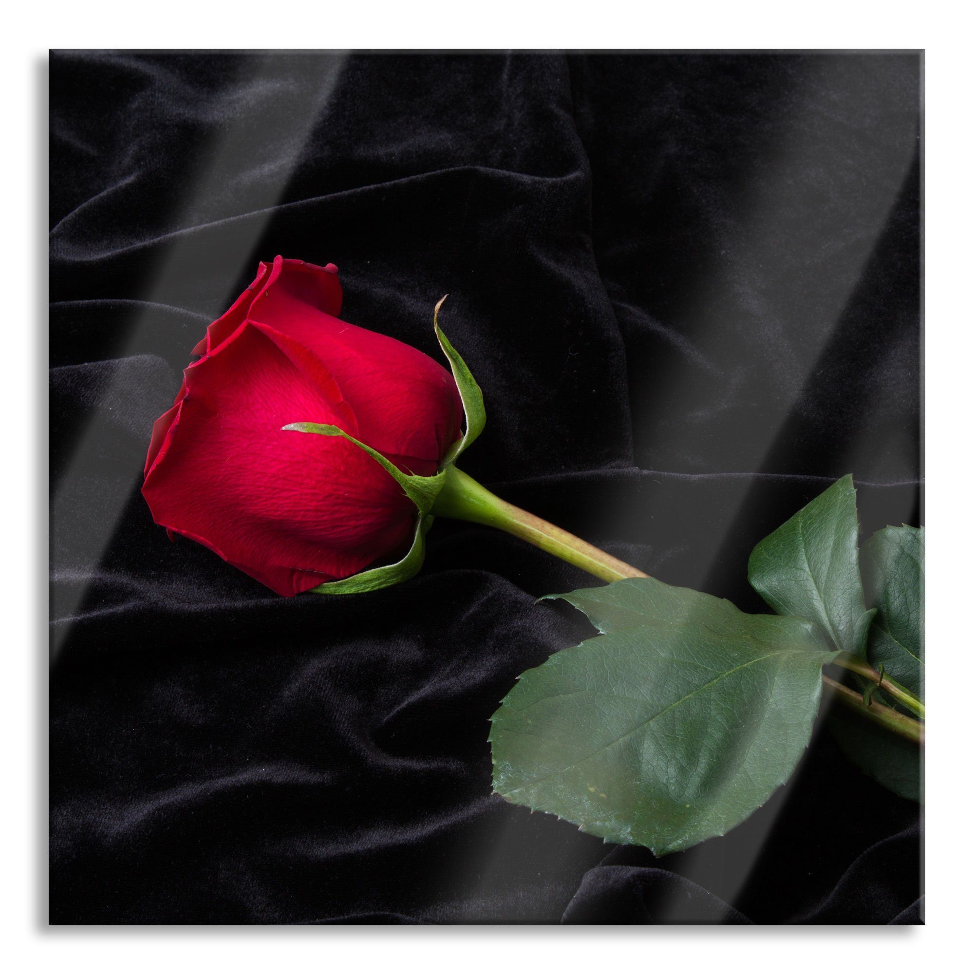 inkl. Pixxprint Abstandshalter Echtglas, Aufhängungen aus (1 Rose Rose, Glasbild Glasbild und St),