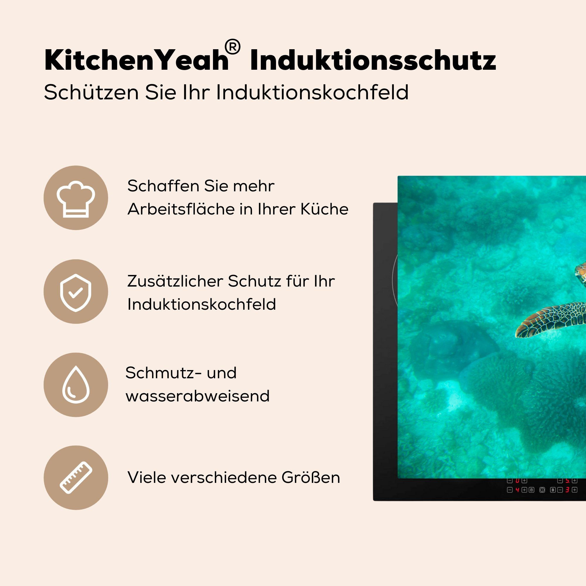 Induktionskochfeld Vinyl, (1 am Schutz für Ceranfeldabdeckung Meeresschildkröte die 81x52 küche, Apo-Riff, cm, tlg), MuchoWow Herdblende-/Abdeckplatte