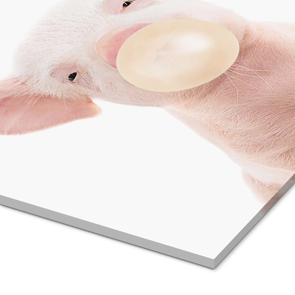 Posterlounge Wandbild Schweinchen mit Kaugummi, Sisi And Seb, erhältlich als Poster, Leinwandbild, Wandsticker oder Acrylglasbild