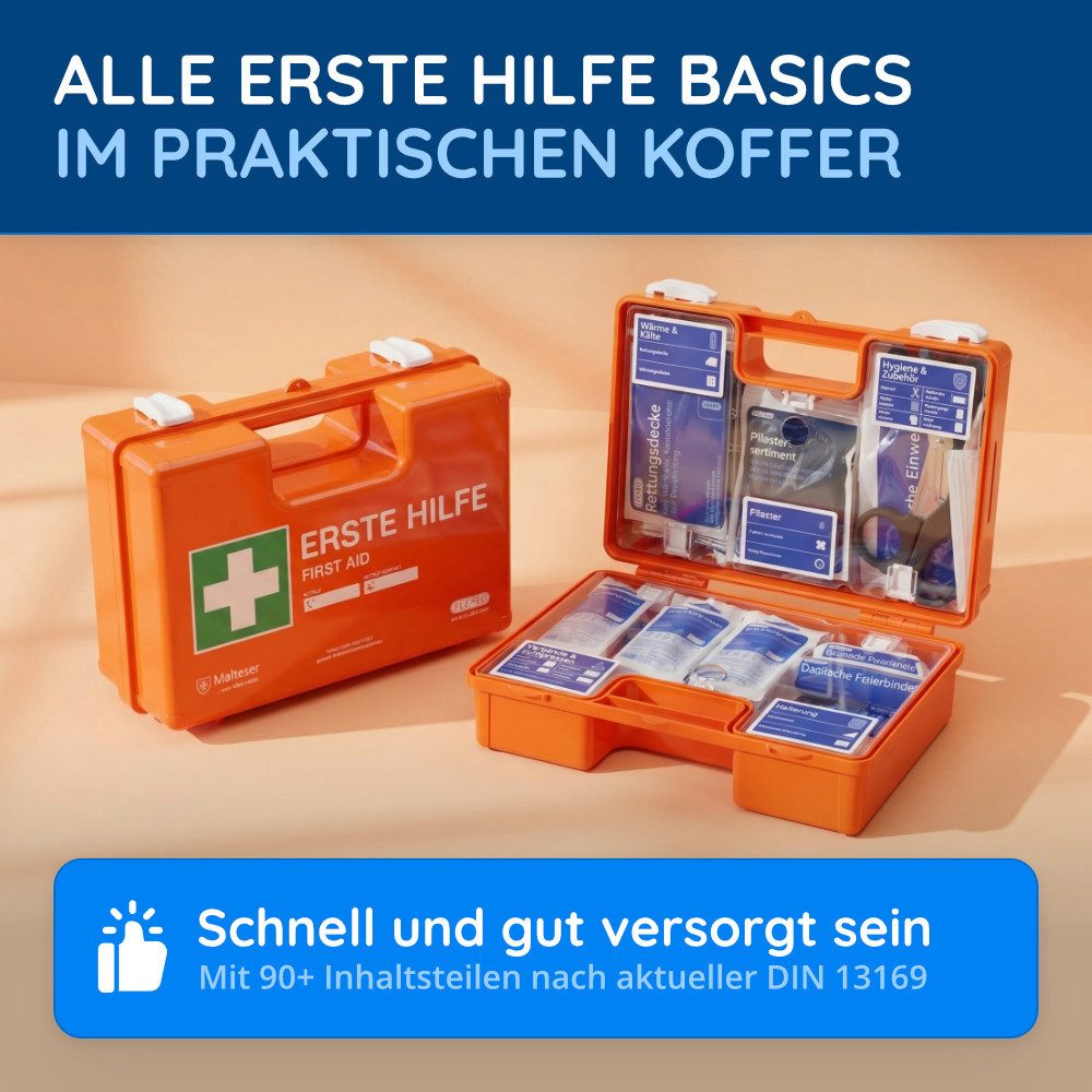 FLEXEO Erste-Hilfe-Koffer DIN 13169, (1 St), Verbandkasten für Unternehmen, öffentliche Einrichtungen, Zuhause