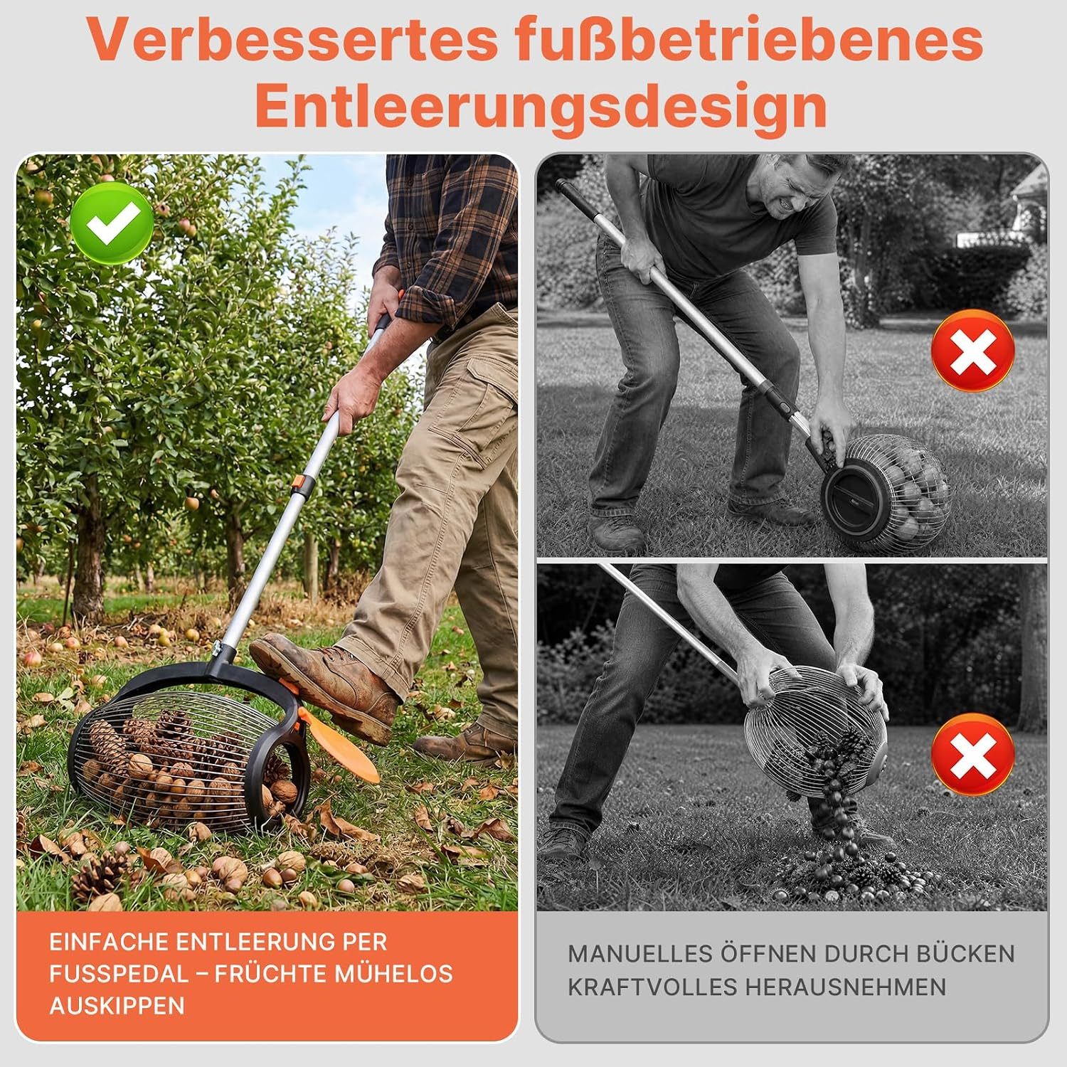 Hausprofi Rollsammler Nusssammler Ø34cm, Teleskopstiel 37-110cm, Ohne Bücken, 34 cm Arbeitsbreite, Obstsammler für Walnüsse Äpfel Eicheln, Pedalbetätigte Seitenöffnung