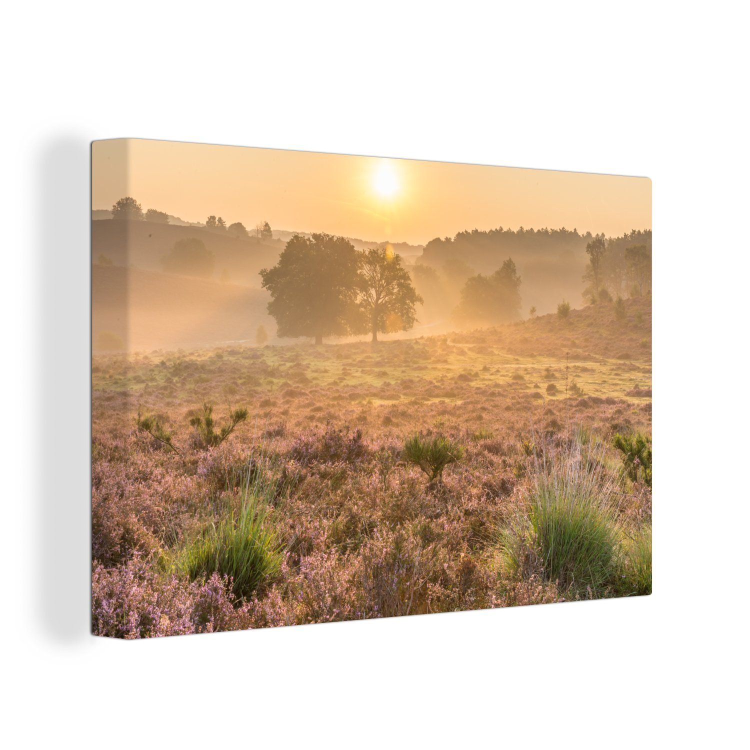 OneMillionCanvasses® Leinwandbild Ein Sonnenaufgang über dem Veluwezoom-Nationalpark in Gelderland, (1 St), Wandbild Leinwandbilder, Aufhängefertig, Wanddeko, 30x20 cm