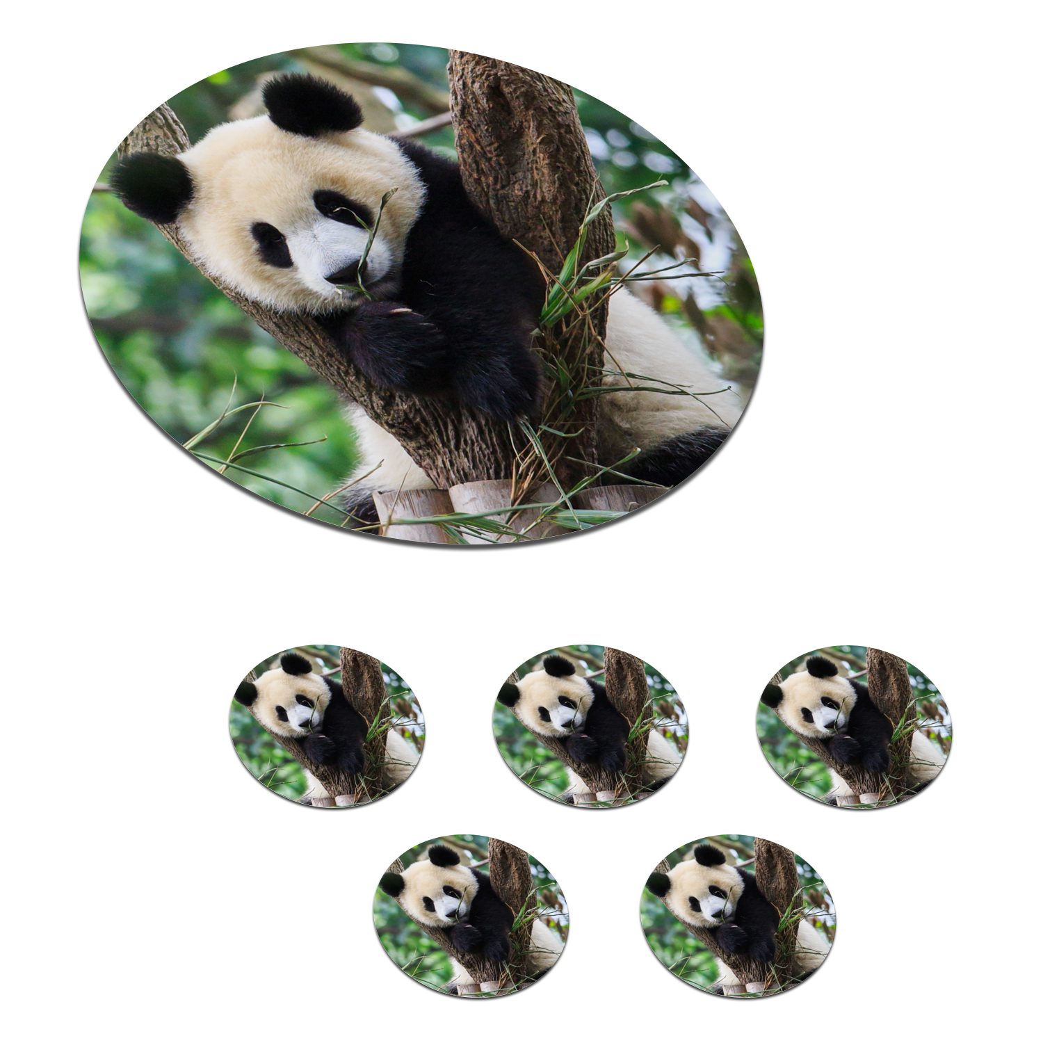 MuchoWow Glasuntersetzer Panda - Dschungel Korkuntersetzer, Tasse, Natur, Gläser, Tassenuntersetzer, Becher Tiere Zubehör 6-tlg., Getränkeuntersetzer, für - 