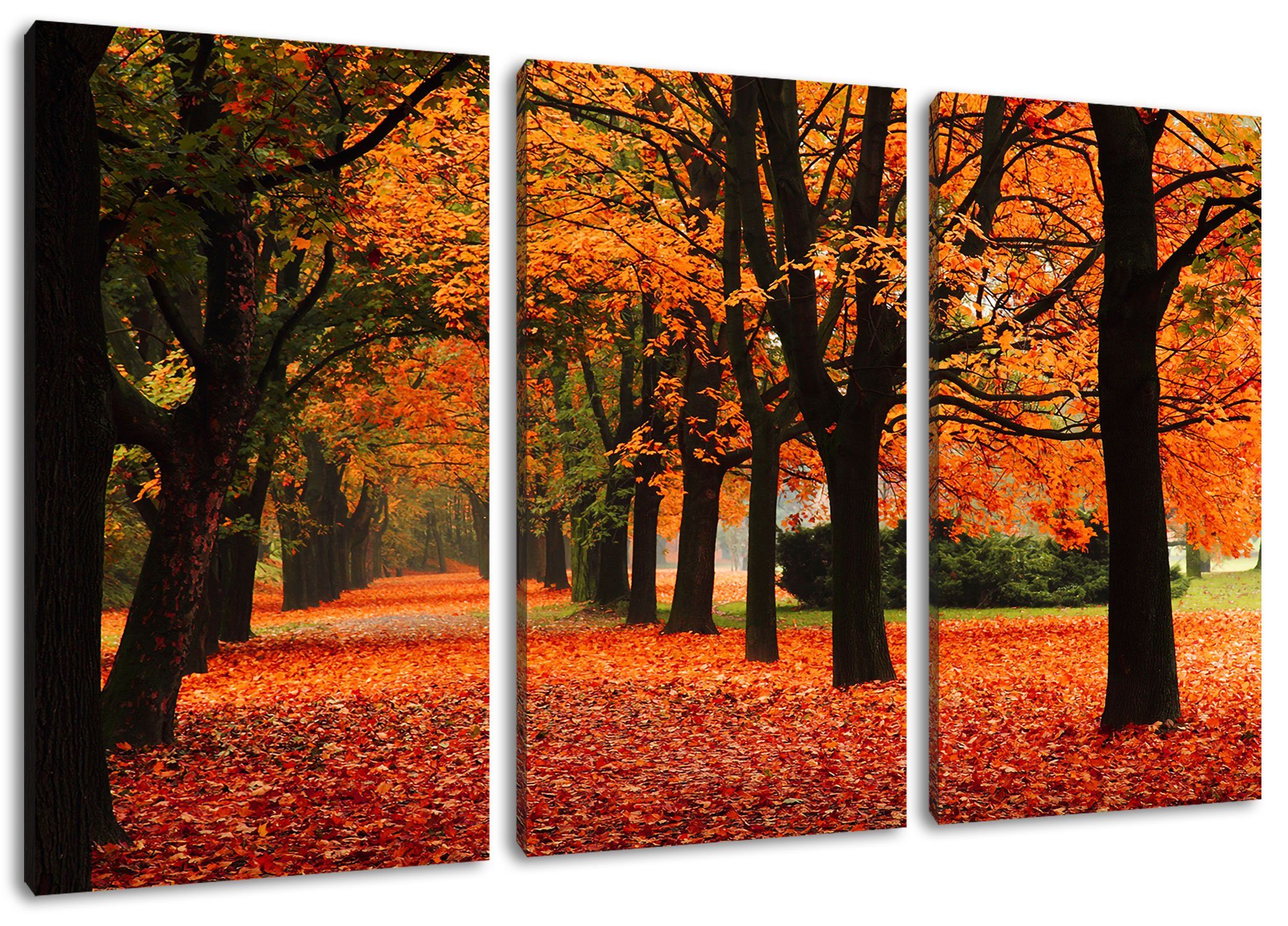 Pixxprint Leinwandbild im Zackenaufhänger Herbst, St), Baumallee Herbst Leinwandbild 3Teiler im inkl. Baumallee fertig bespannt, (1 (120x80cm)