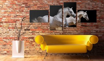 Artgeist Wandbild Magische Tierwelt - weiße Pferde in Bewegung