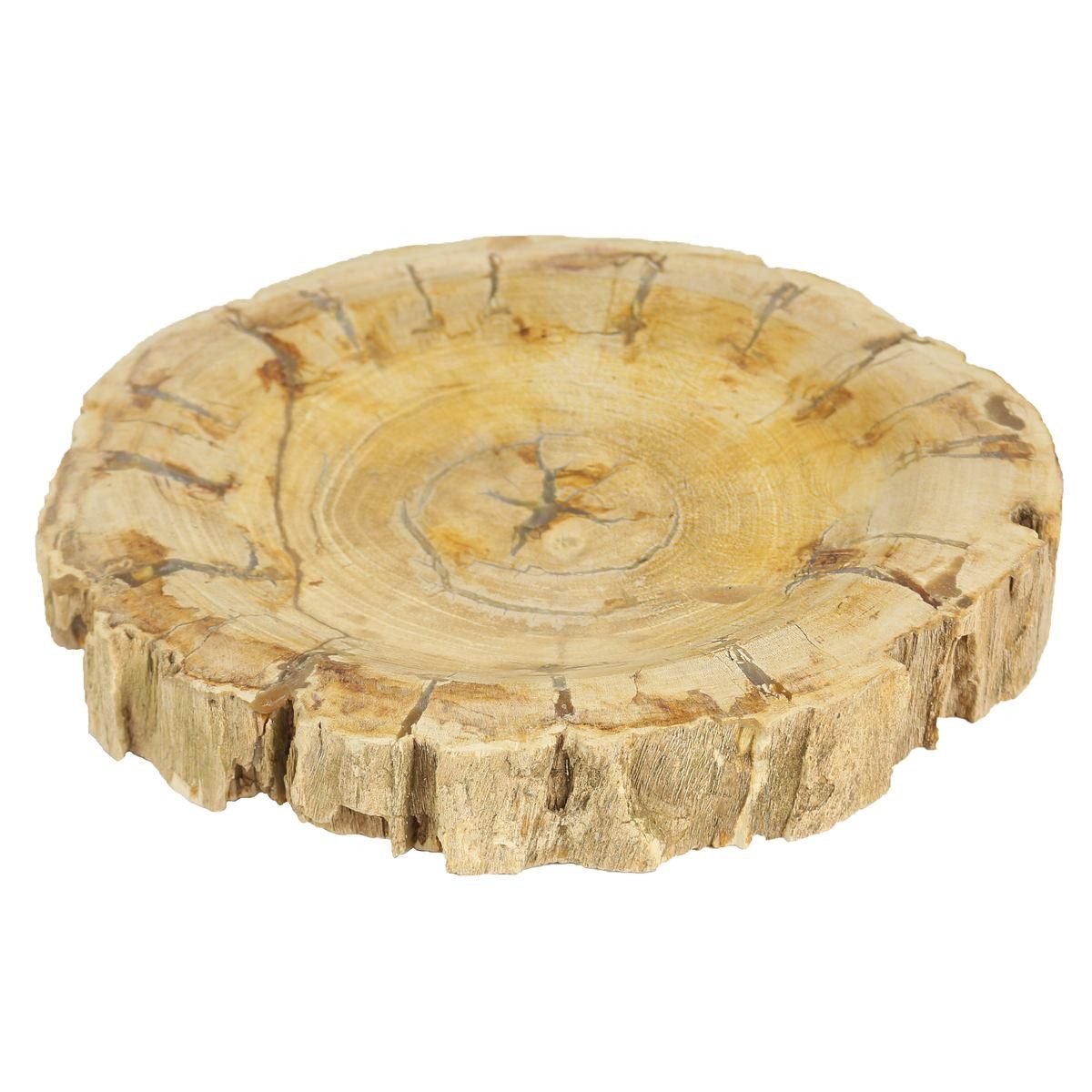 Oriental Galerie Dekotablett Fossil Dekoschale Aschenbecher (1 St)