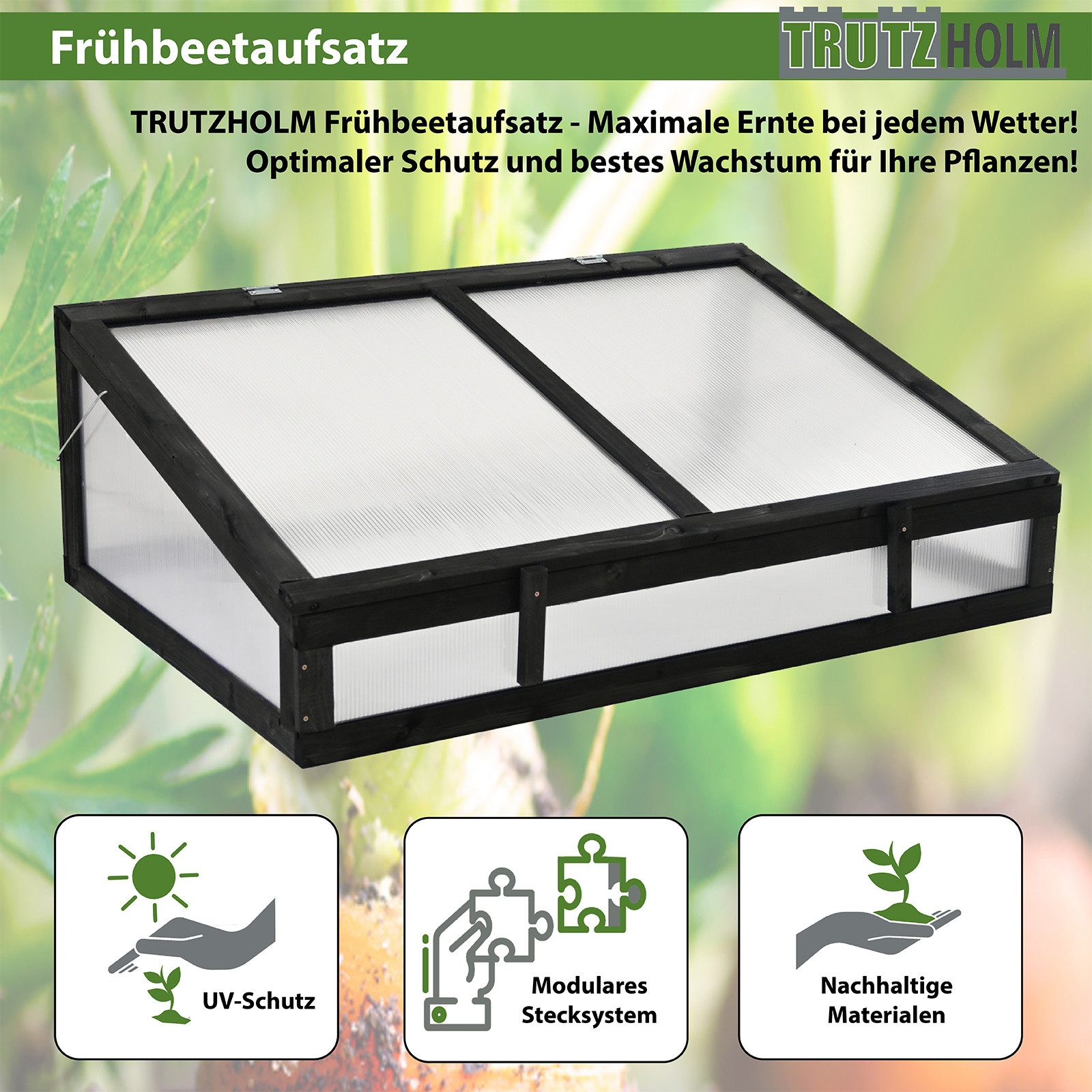 TRUTZHOLM Frühbeetaufsatz Frühbeetaufsatz aus Holz 120x80cm Gewächshaus für günstig online kaufen