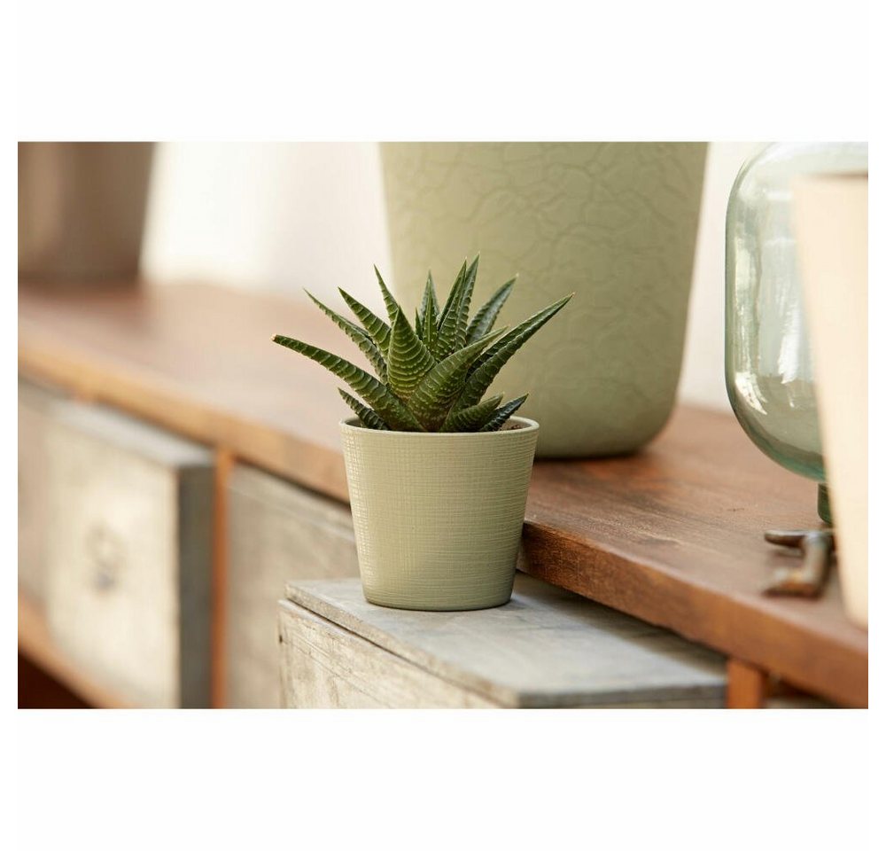 Thumbnail - Poétic Blumentopf Gaia Clawed Khaki Ø 7 cm