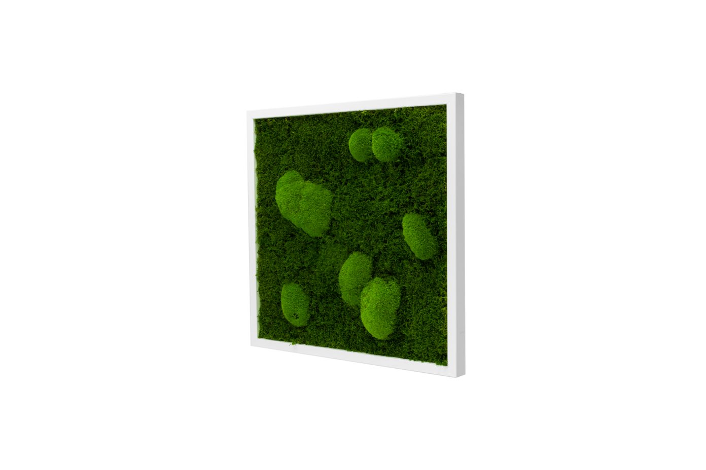 Moos-Design Bilderrahmen Moos Bild Forest Design günstig online kaufen