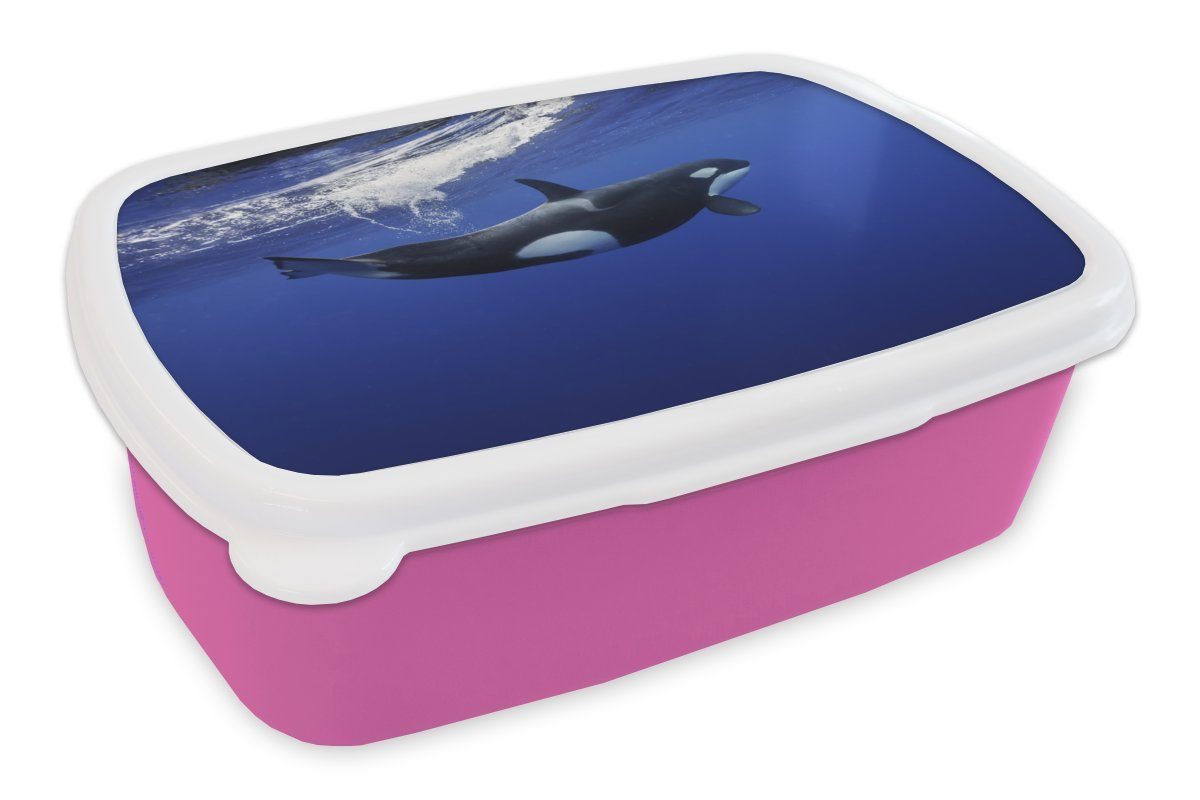 MuchoWow Lunchbox Orca im klaren Wasser, Kunststoff, (2-tlg), Brotbox für Erwachsene, Brotdose Kinder, Snackbox, Mädchen, Kunststoff rosa