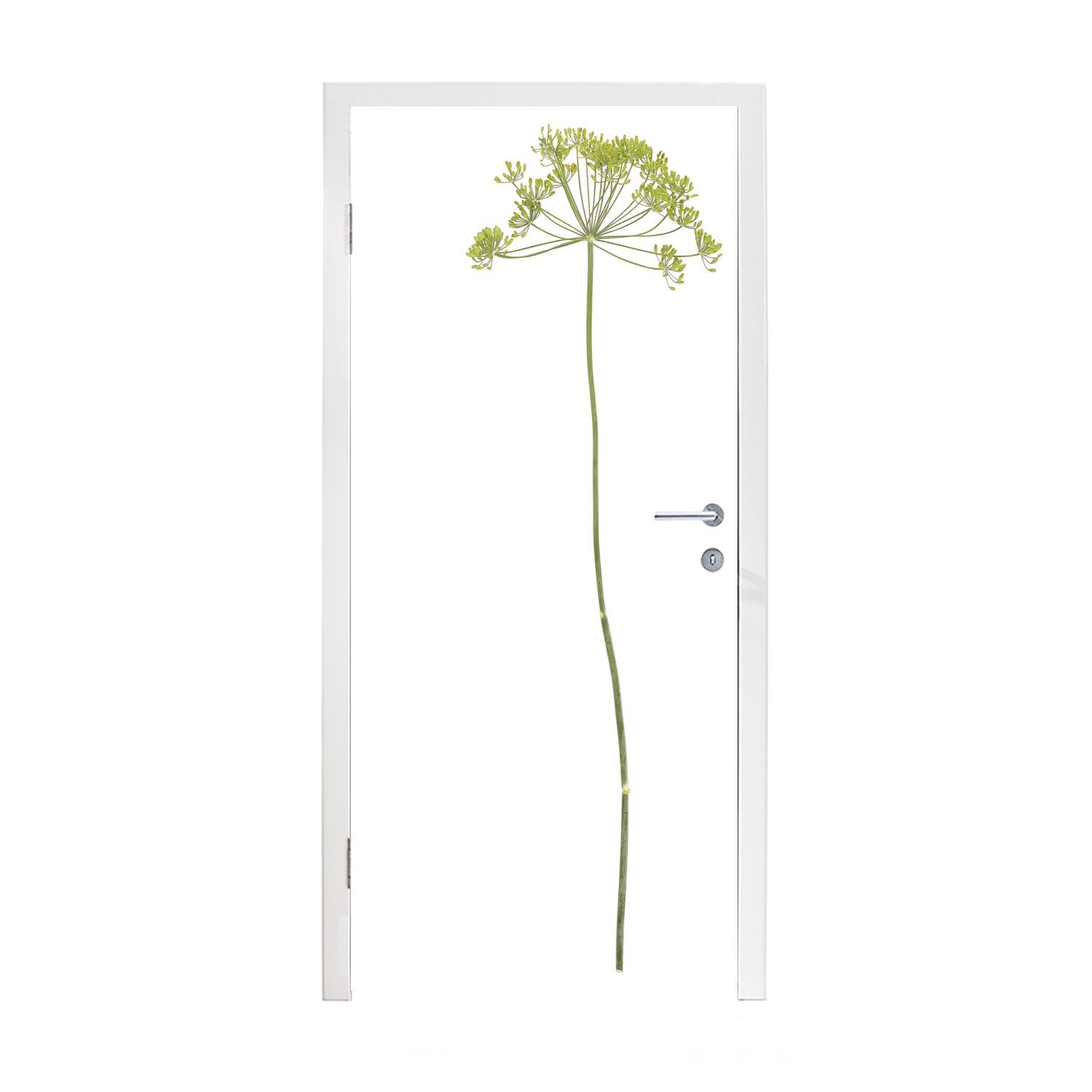 Eine einsame Tür, 75x205 cm Hintergrund, Türaufkleber, MuchoWow für Anispflanze Matt, weißem St), Türtapete Fototapete vor bedruckt, (1