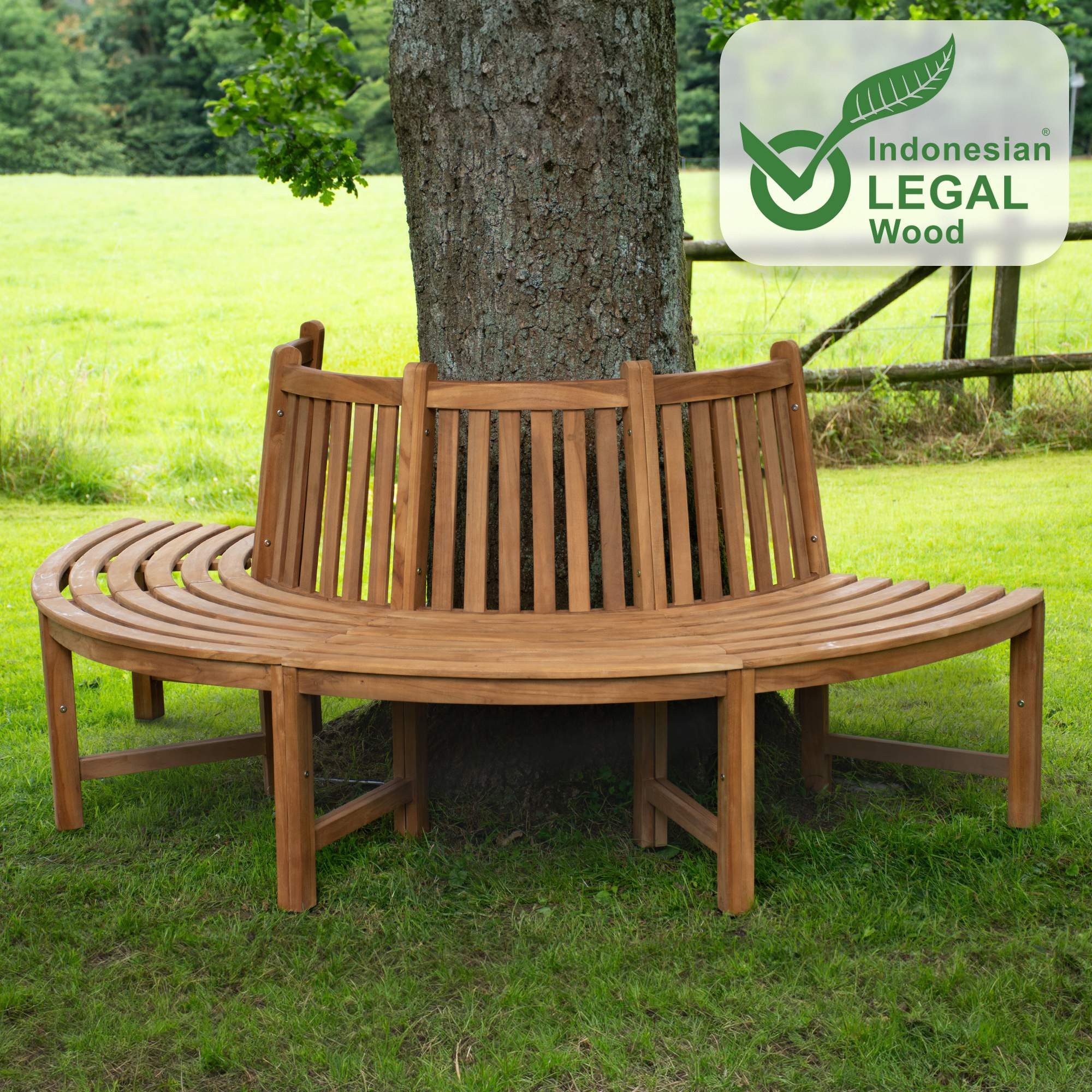 CLP Gartenbank Male (1er)