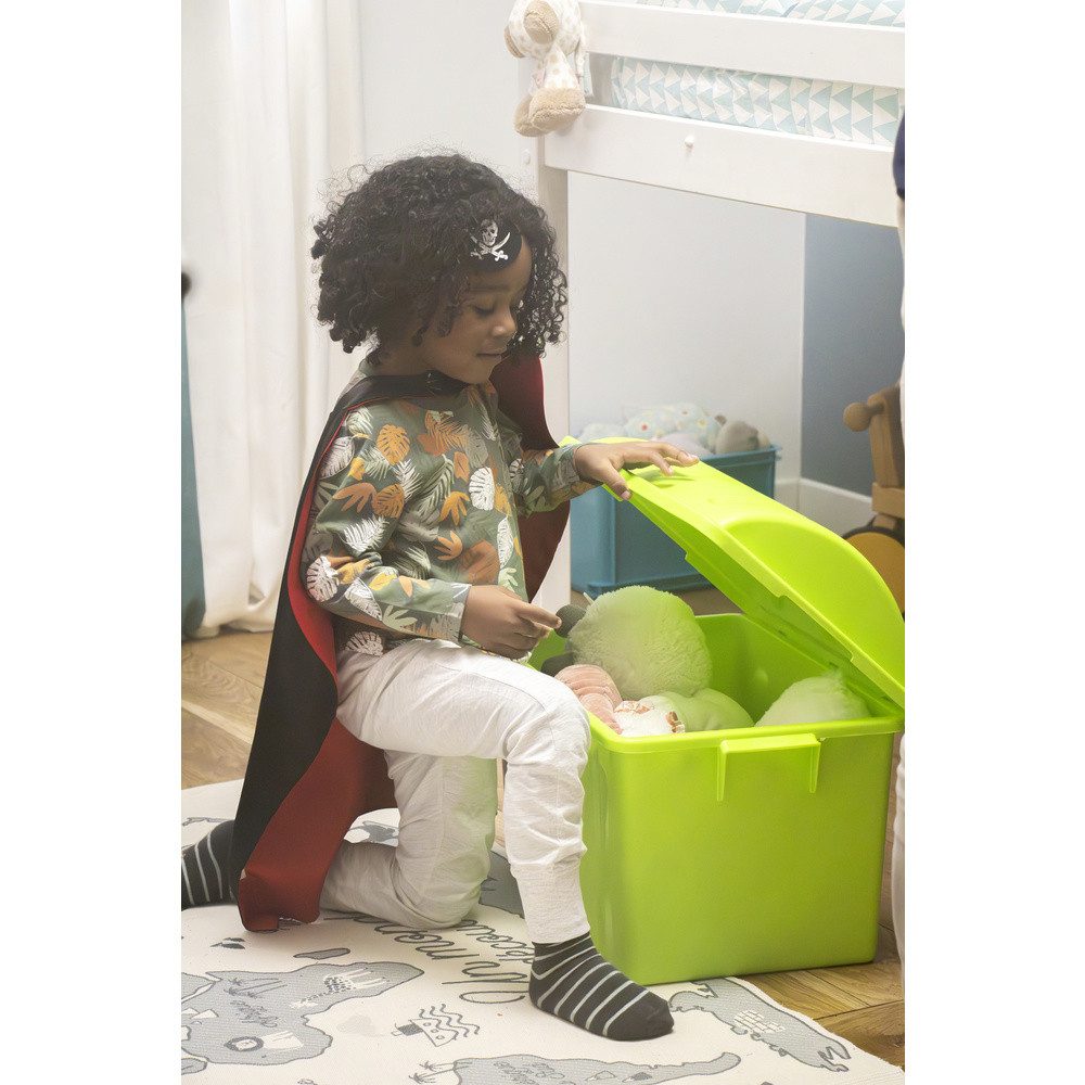 Curver Aufbewahrungsbox Curver 259603 Aufbewahrungsbox Piraten 75 Jahre-Edi günstig online kaufen