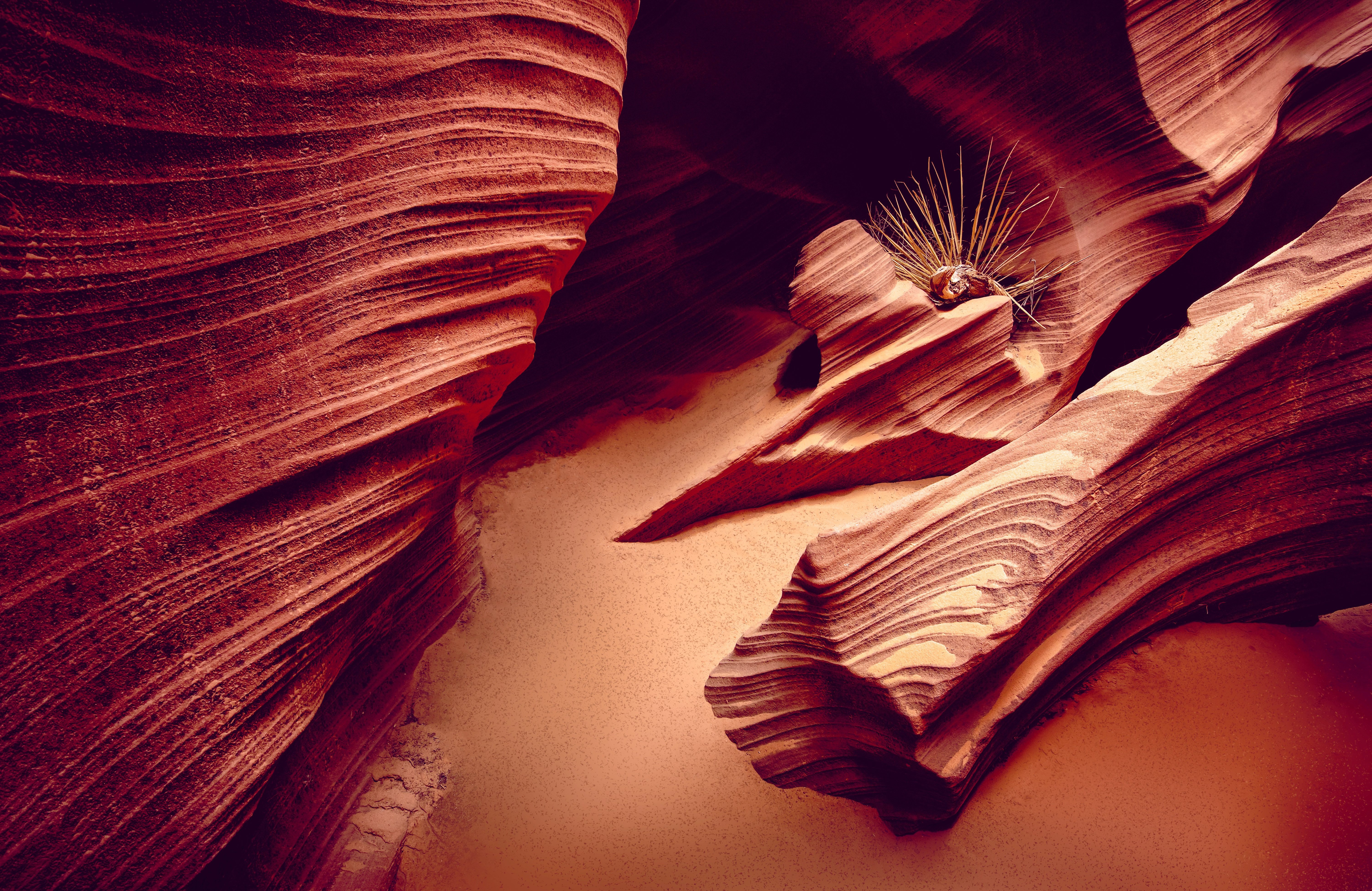 Fototapete VLIES-Tapete Premium Stein Canyon Natur Pflanzen Sand