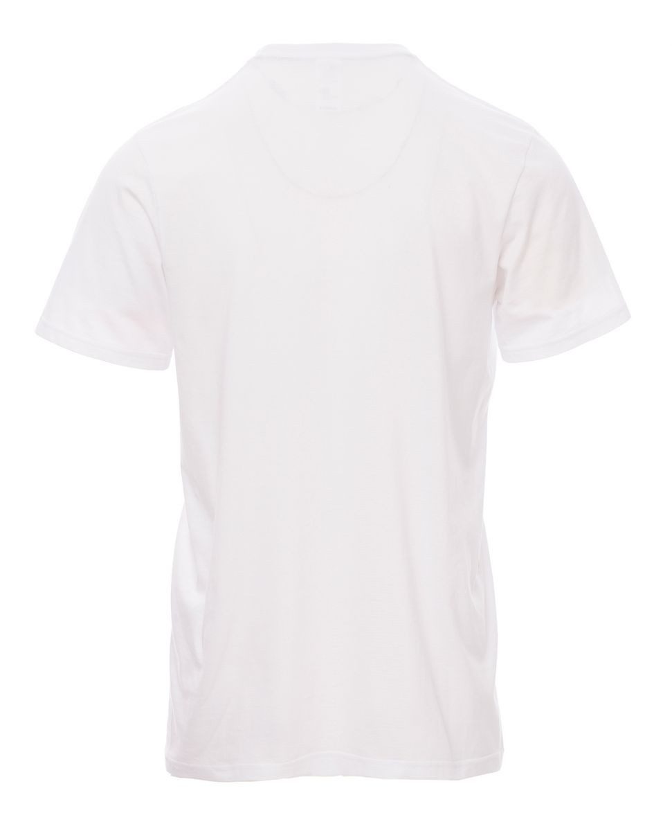 PAYPER T-Shirt PAYPER Herren T-Shirt Rundhalsausschnitt Basic Shirt Größe S bis 4XL in vielen Farben