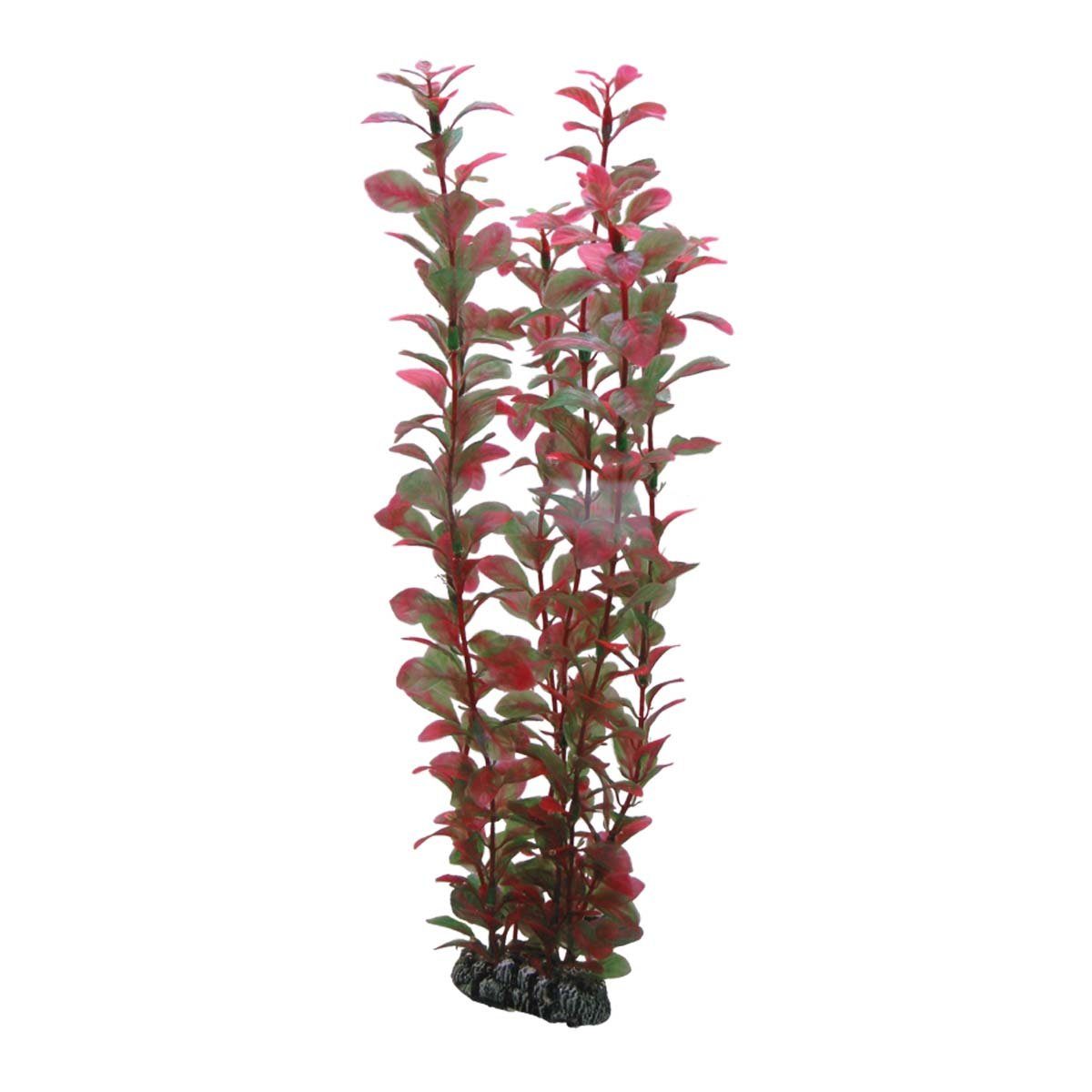 HOBBY Aquariendeko Ludwigia, 34 cm Kunststoffpflanze für Aquarien von HOBBY