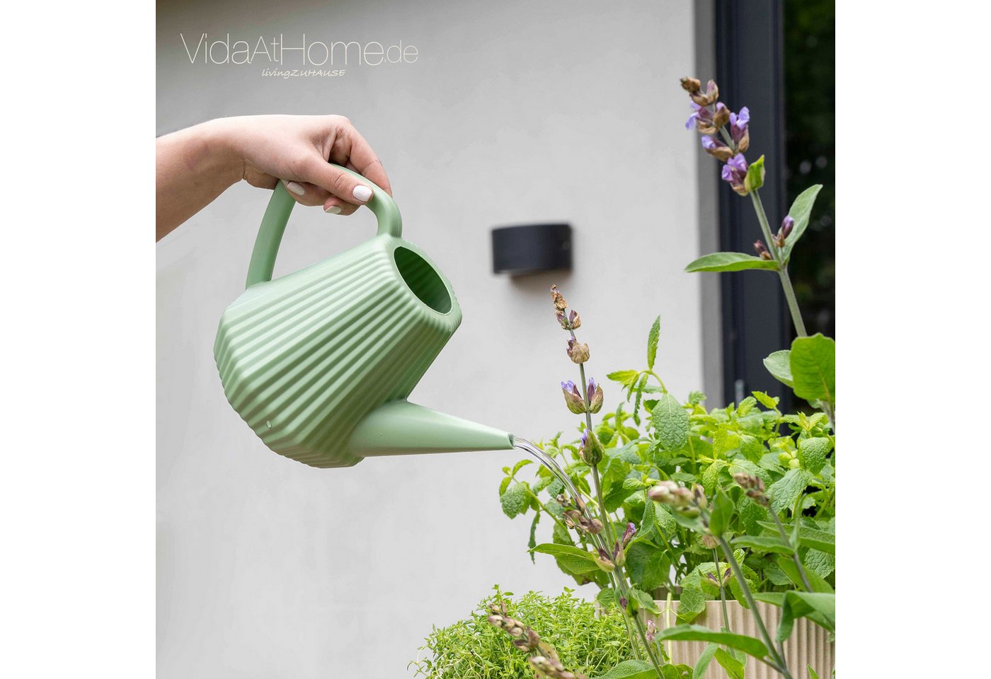 Thumbnail - VidaAtHome.de Gießkanne CAPI Gießkanne DOPPIO Groove ca. 2L, Kompakte Gießkanne mit Rillenstruktur, stylisch & handlich