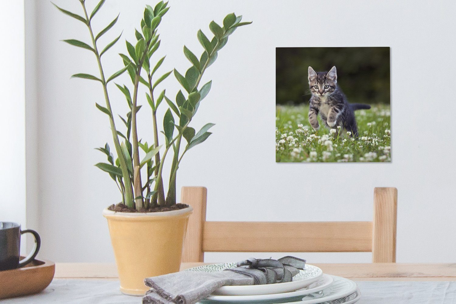 OneMillionCanvasses® Leinwandbild Kleefeld, für St), Wohnzimmer (1 Bilder Schlafzimmer Leinwand einem in Ein Kätzchen