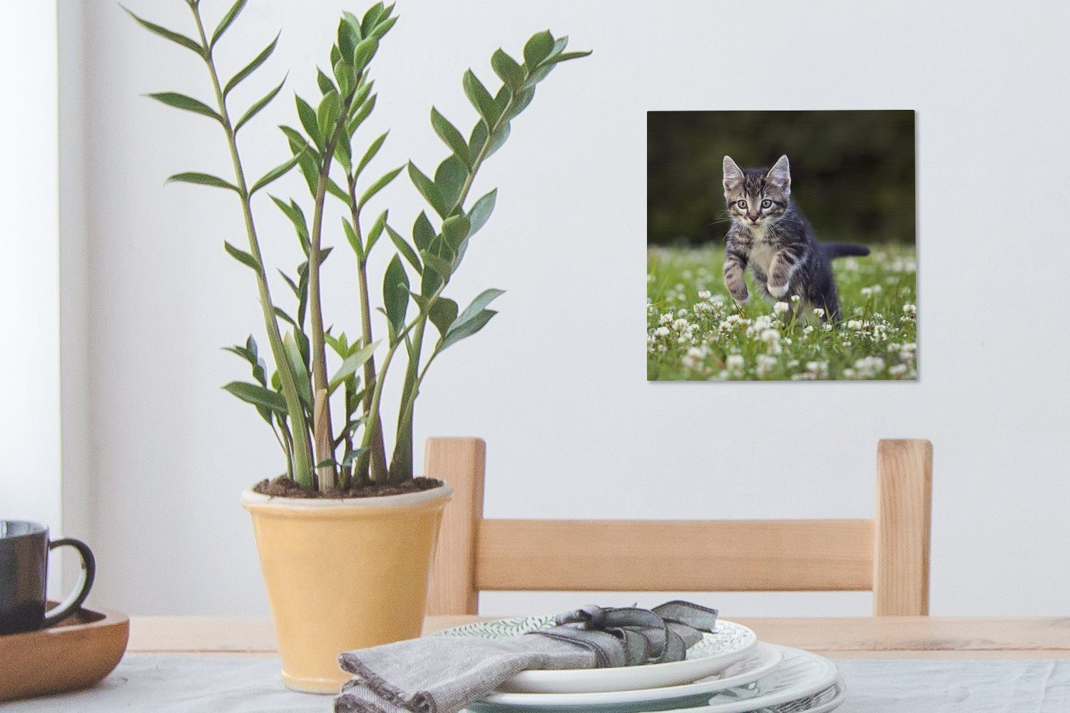 OneMillionCanvasses® Leinwandbild Wohnzimmer Ein Bilder in Schlafzimmer Kätzchen (1 Leinwand einem Kleefeld, St), für