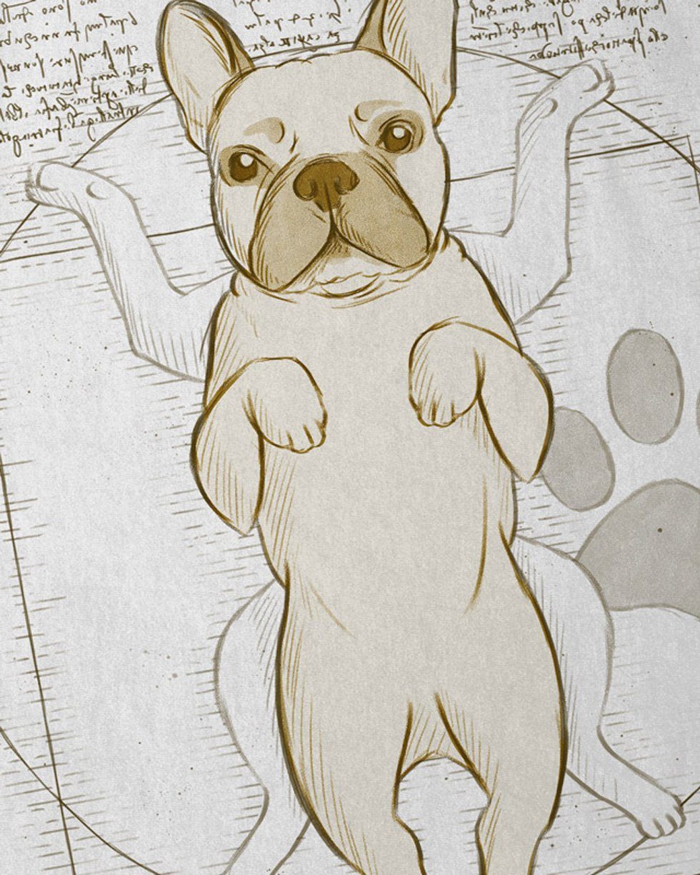 Herren Vitruvianischer style3 französische Print-Shirt T-Shirt weiß Frenchie bulldogge hund