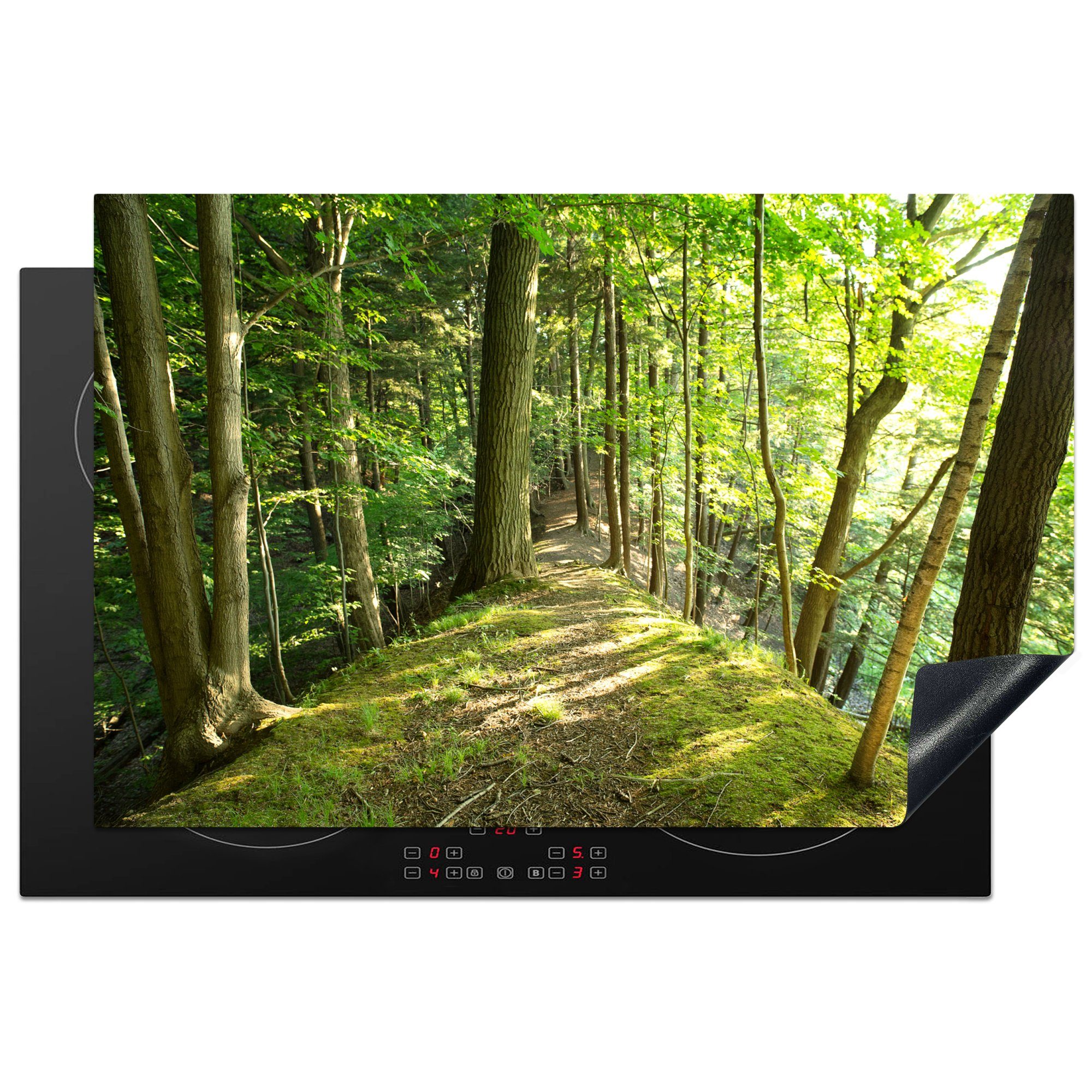 MuchoWow Herdblende-/Abdeckplatte Bild eines Spazierweges in einem Wald in Ontario, Vinyl, (1 tlg), 81x52 cm, Induktionskochfeld Schutz für die küche, Ceranfeldabdeckung