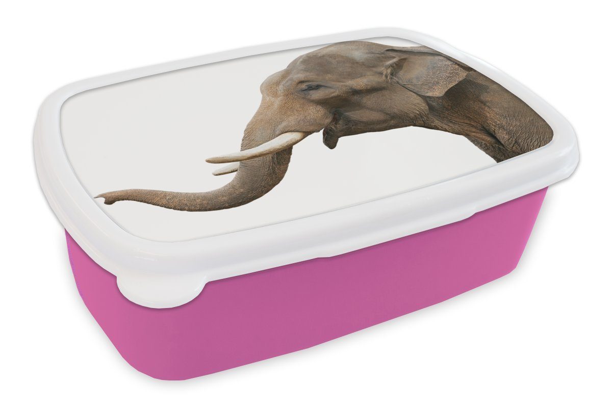MuchoWow Lunchbox Elefant - Zähne - Weiß, Kunststoff, (2-tlg), Brotbox für Erwachsene, Brotdose Kinder, Snackbox, Mädchen, Kunststoff rosa