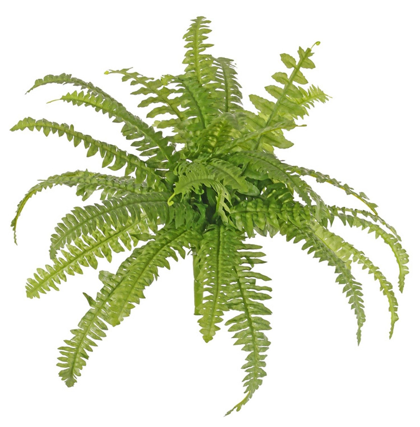 Künstliche Zimmerpflanze Boston Farn künstlich Arkadia auf Steckstab, grün, 35cm, Ø50cm Farn (Schwertfarn), artplants, Höhe 35.0 cm