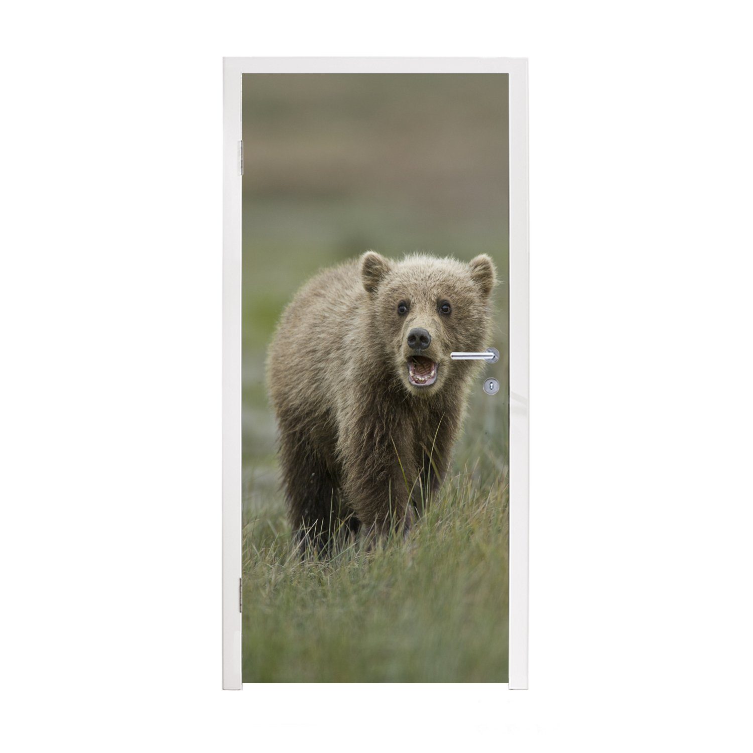 MuchoWow Türtapete Brüllendes Bärenjunges, Matt, bedruckt, (1 St), Fototapete für Tür, Türaufkleber, 75x205 cm