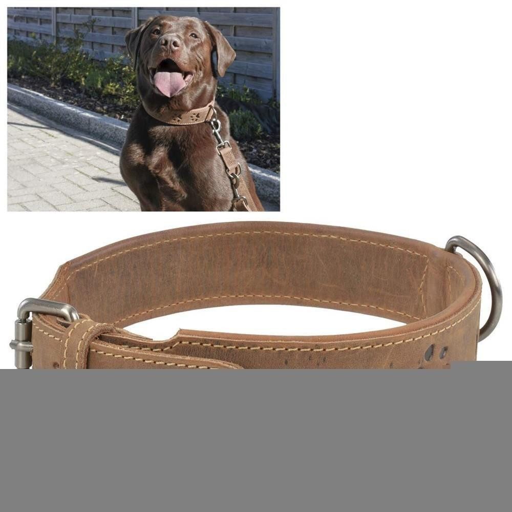 Greenburry Hunde-Halsband "Vintage" Leder antikbraun, Rindleder, Halsband Hunde, 41-48cm, doppellagig, innen umgeschlagende Kante